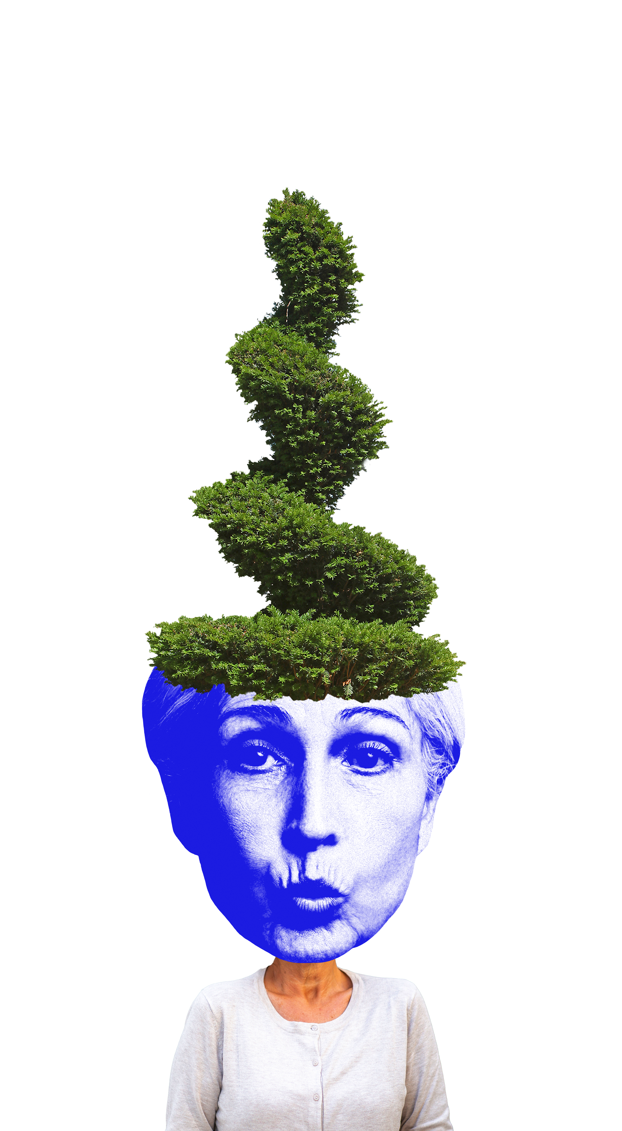 WOman Hedge Head copy 2.png