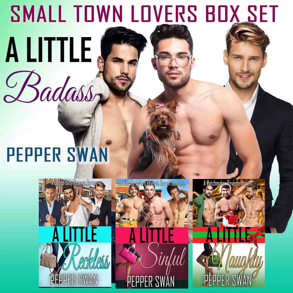 A Little Badass Box Set