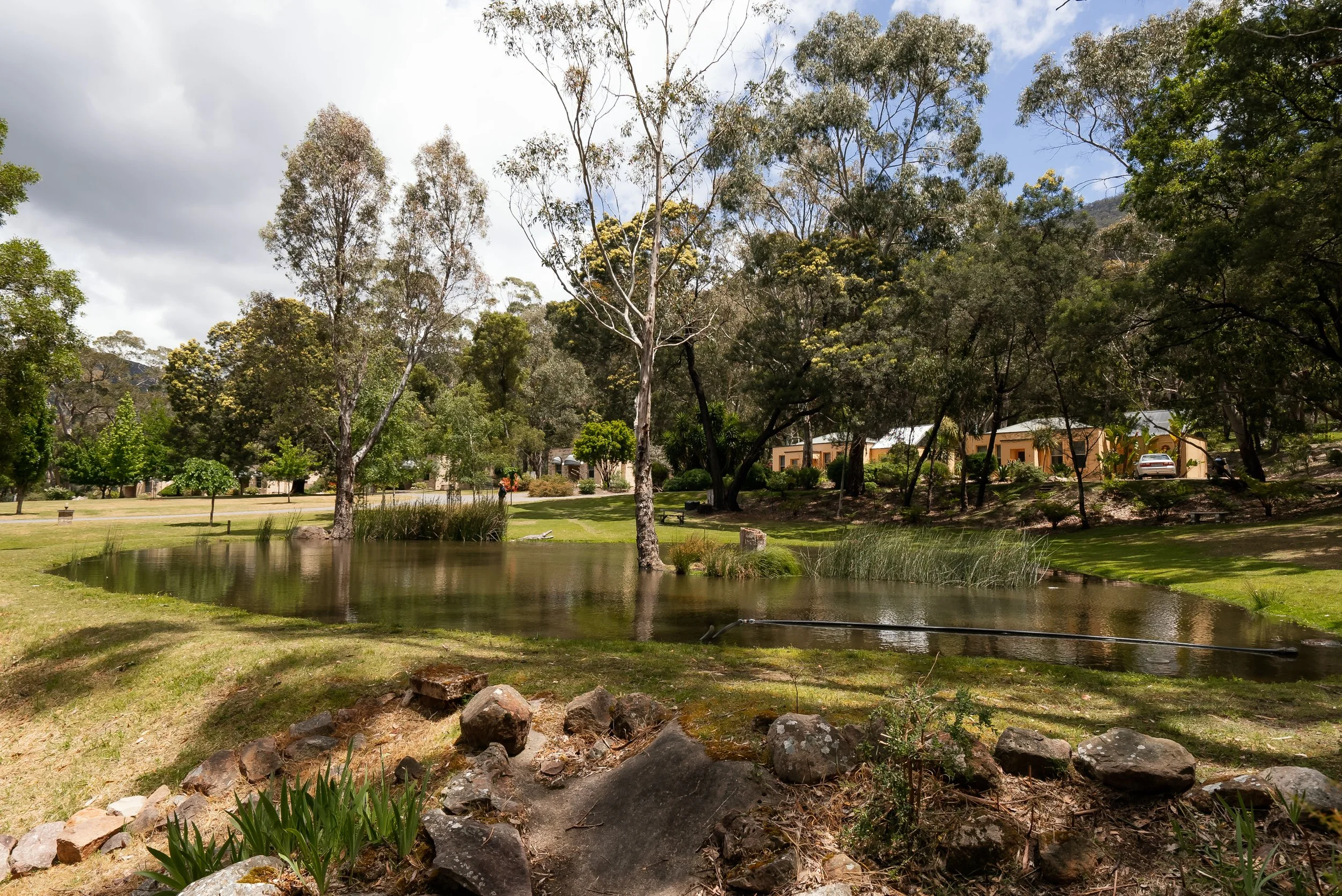 A small pond surrounded by grass and rocks, with trees and houses in the background on a partly cloudy day.