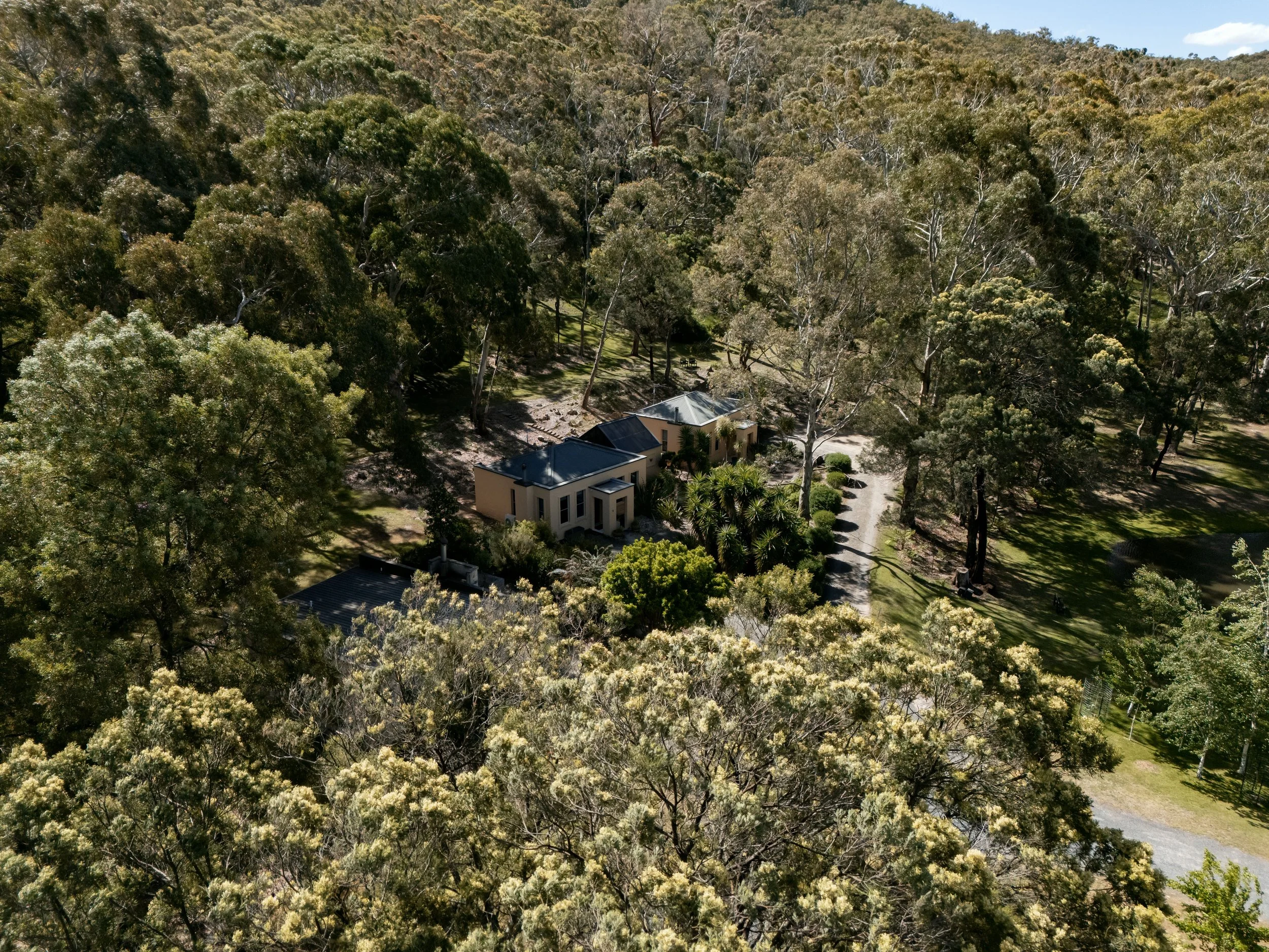Aerial view of a house surrounded by dense trees and lush greenery in a forested area under a clear sky.