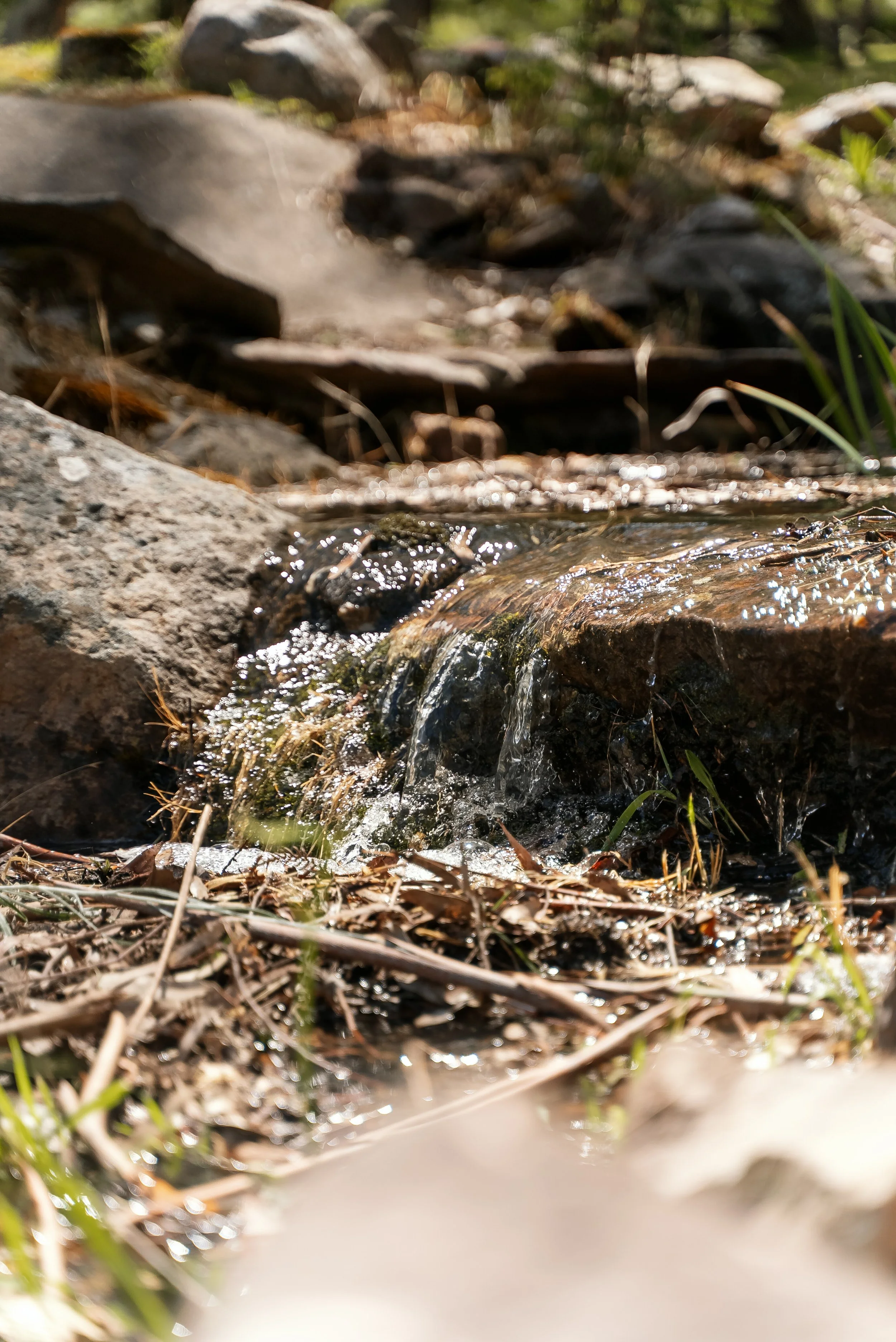 Close-up of a small flowing stream with rocks and dry grass in a natural outdoor setting.