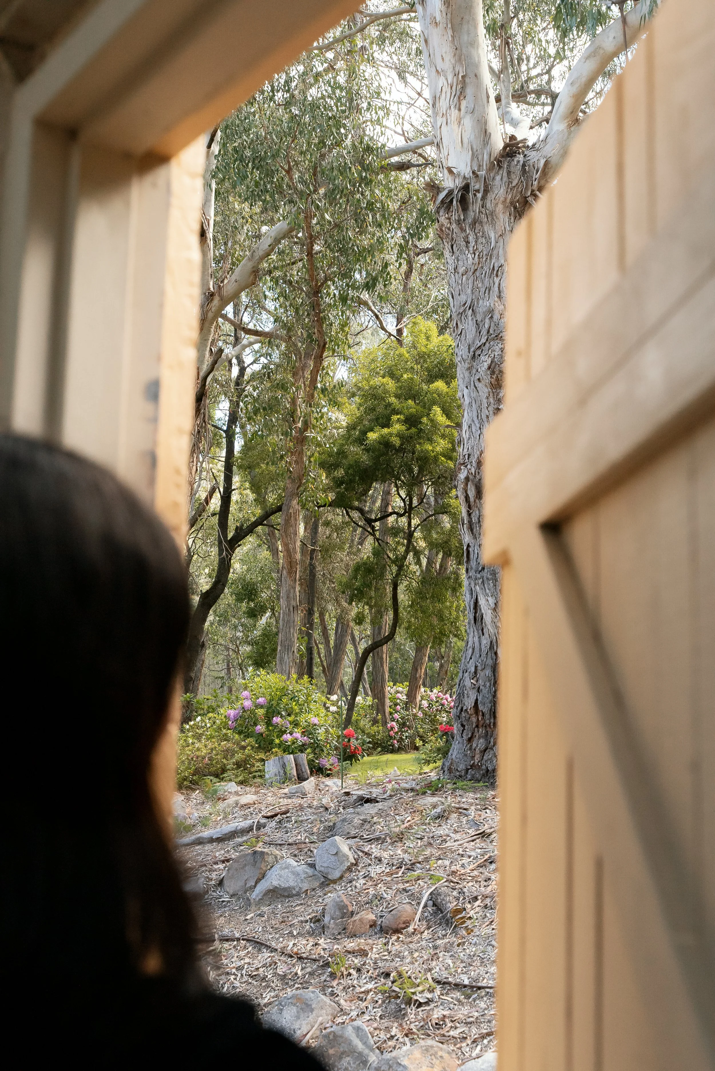 View of a garden with trees and flowering bushes seen through a partially open wooden door, with a person's head and shoulder in the foreground.