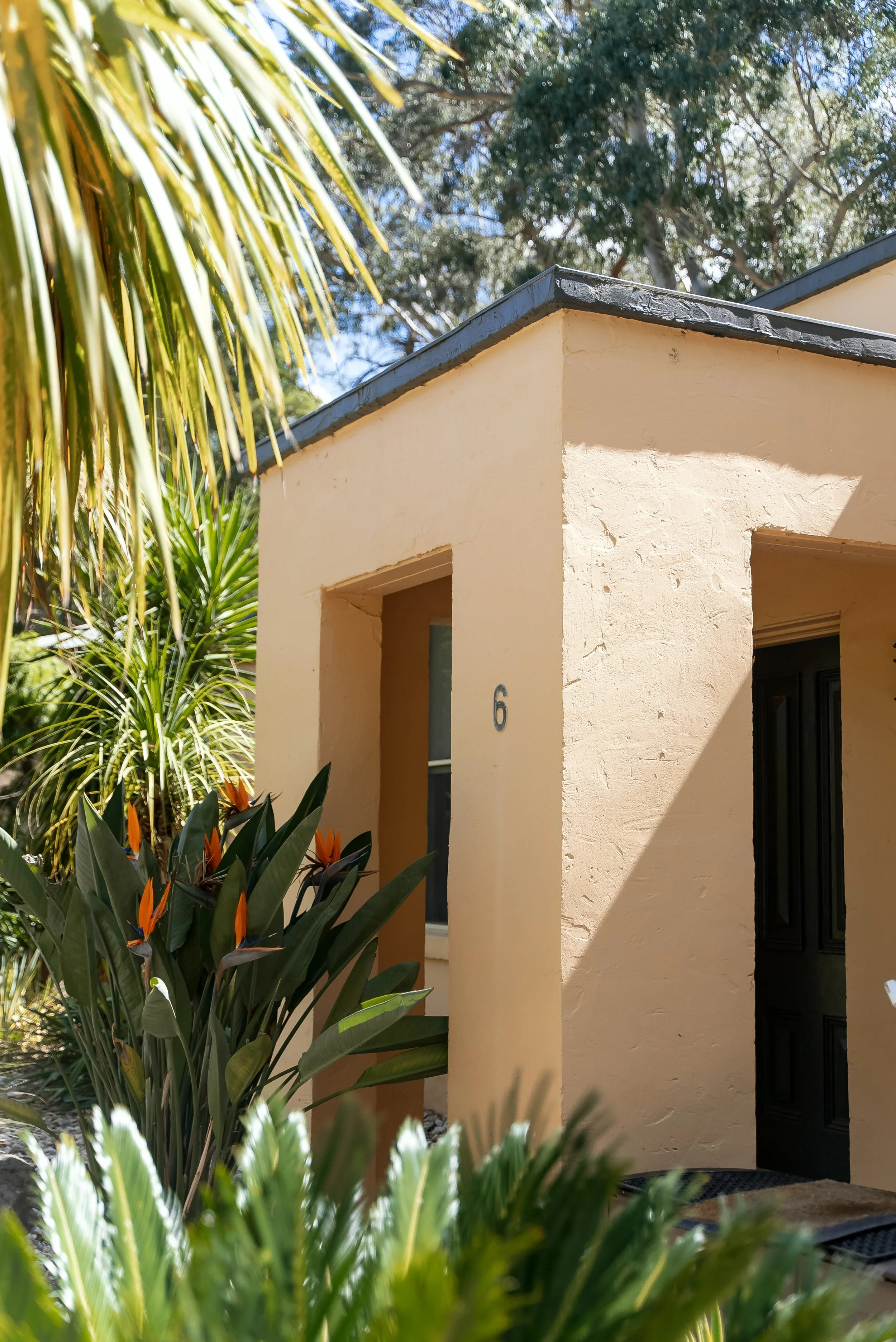 Front of a beige stucco house with the number 6 on the wall, surrounded by lush tropical plants, under a clear blue sky.