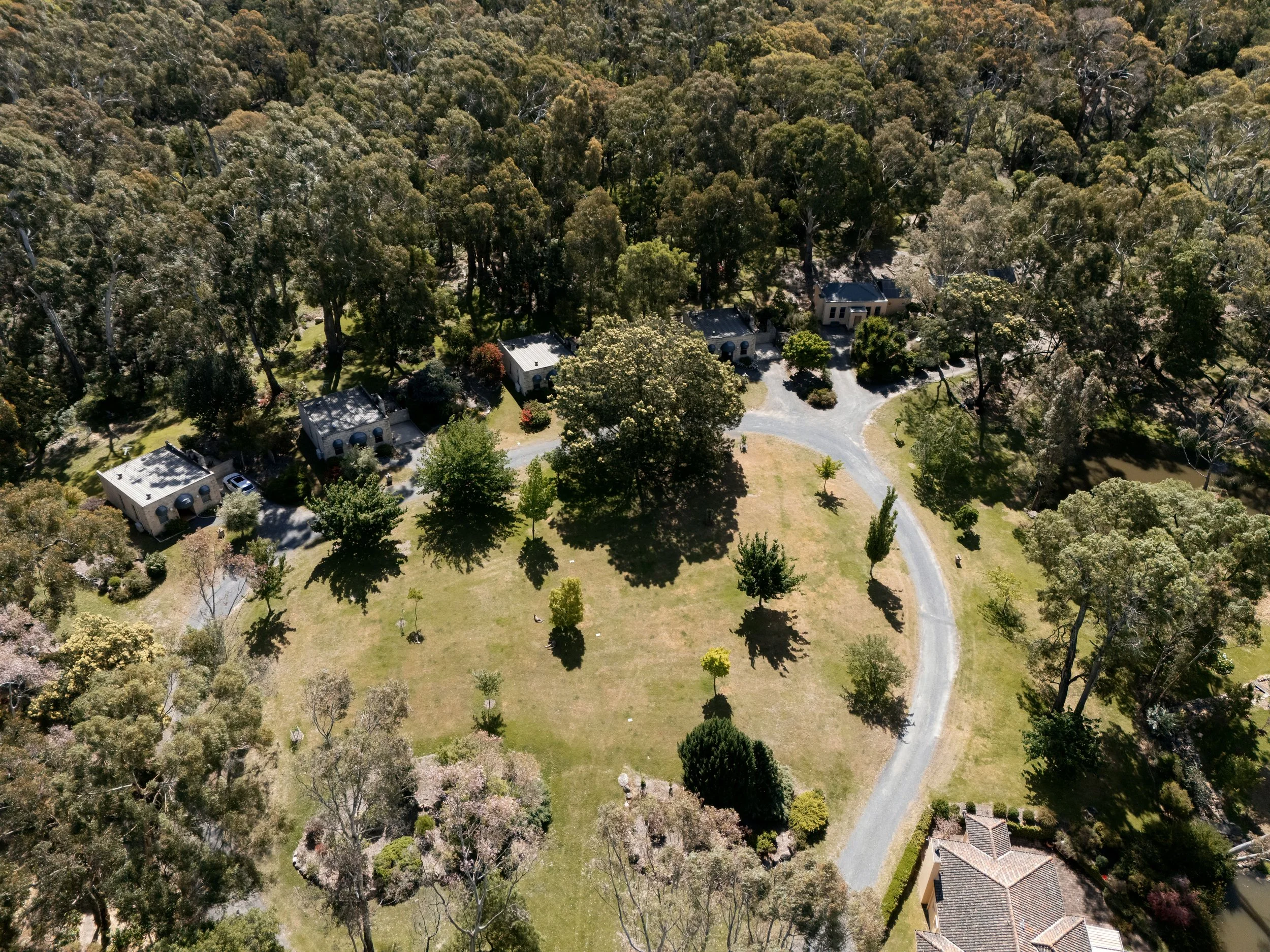 Aerial view of a neighborhood with several houses surrounded by large trees, a winding driveway, and a grassy area.