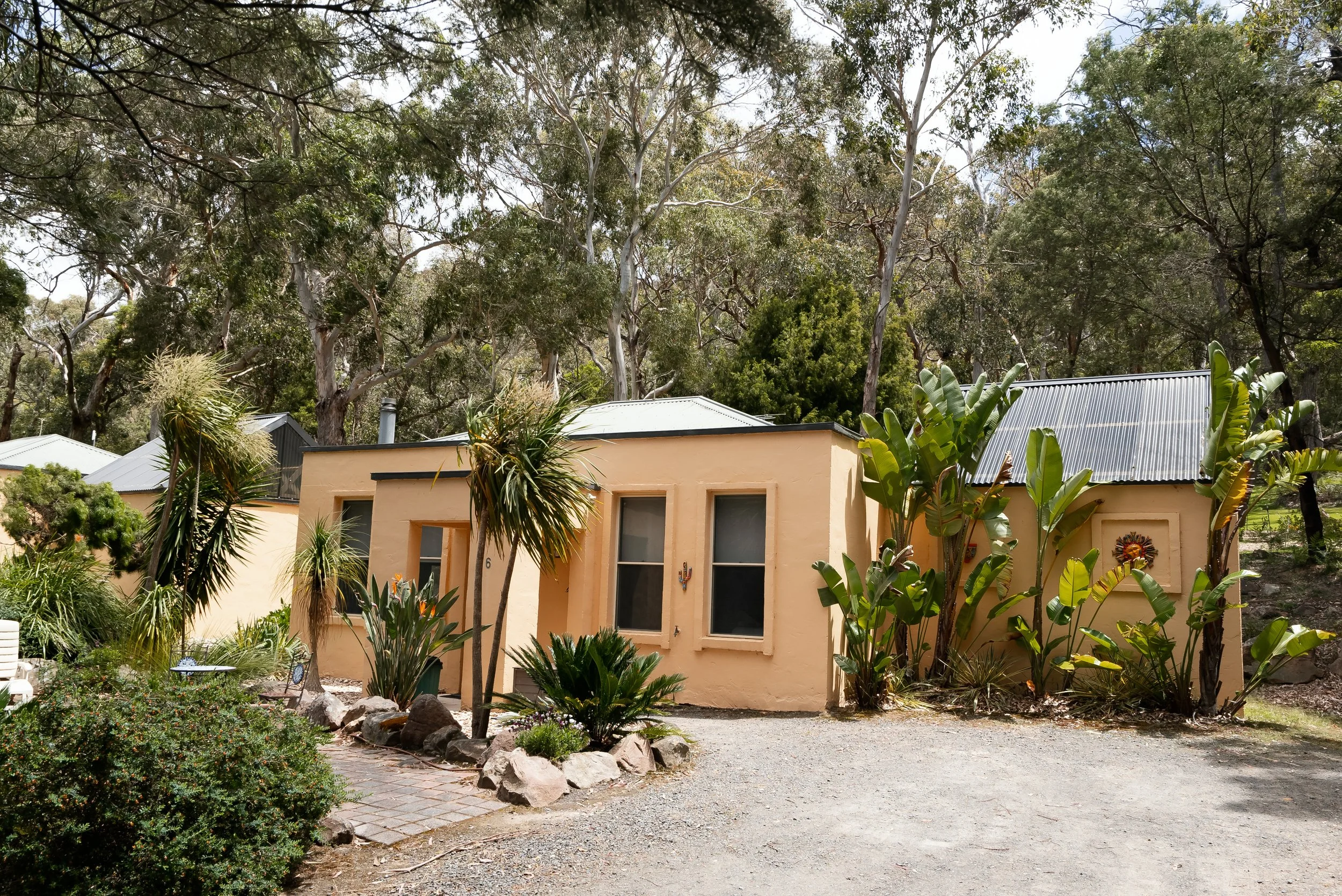 A small peach-colored house with a metal roof, surrounded by lush green trees and plants, including large banana leaves and palm trees, with a gravel driveway in front.