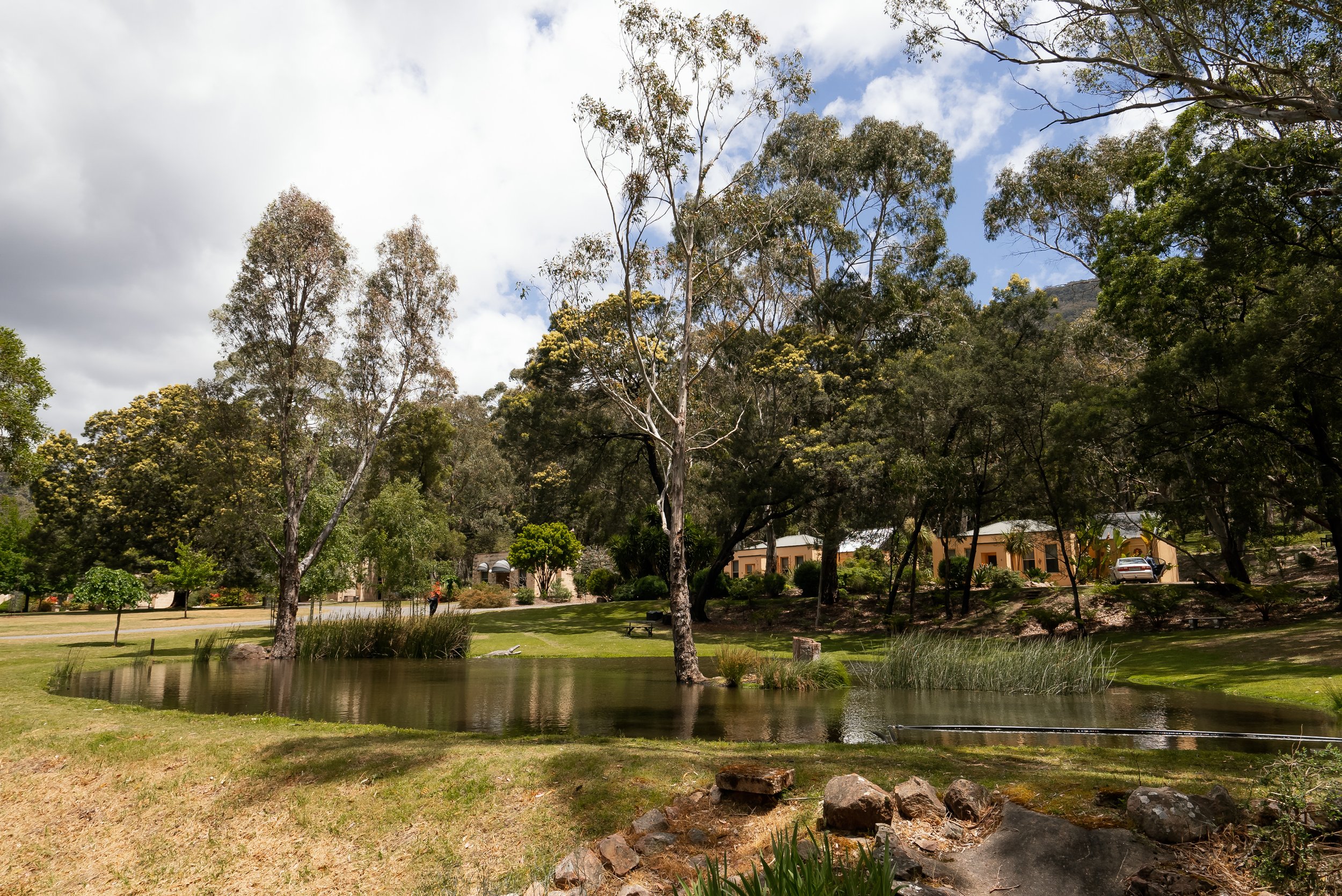 A peaceful park scene with a small pond, surrounded by trees and grass, residential houses in the background, and a cloudy sky overhead.
