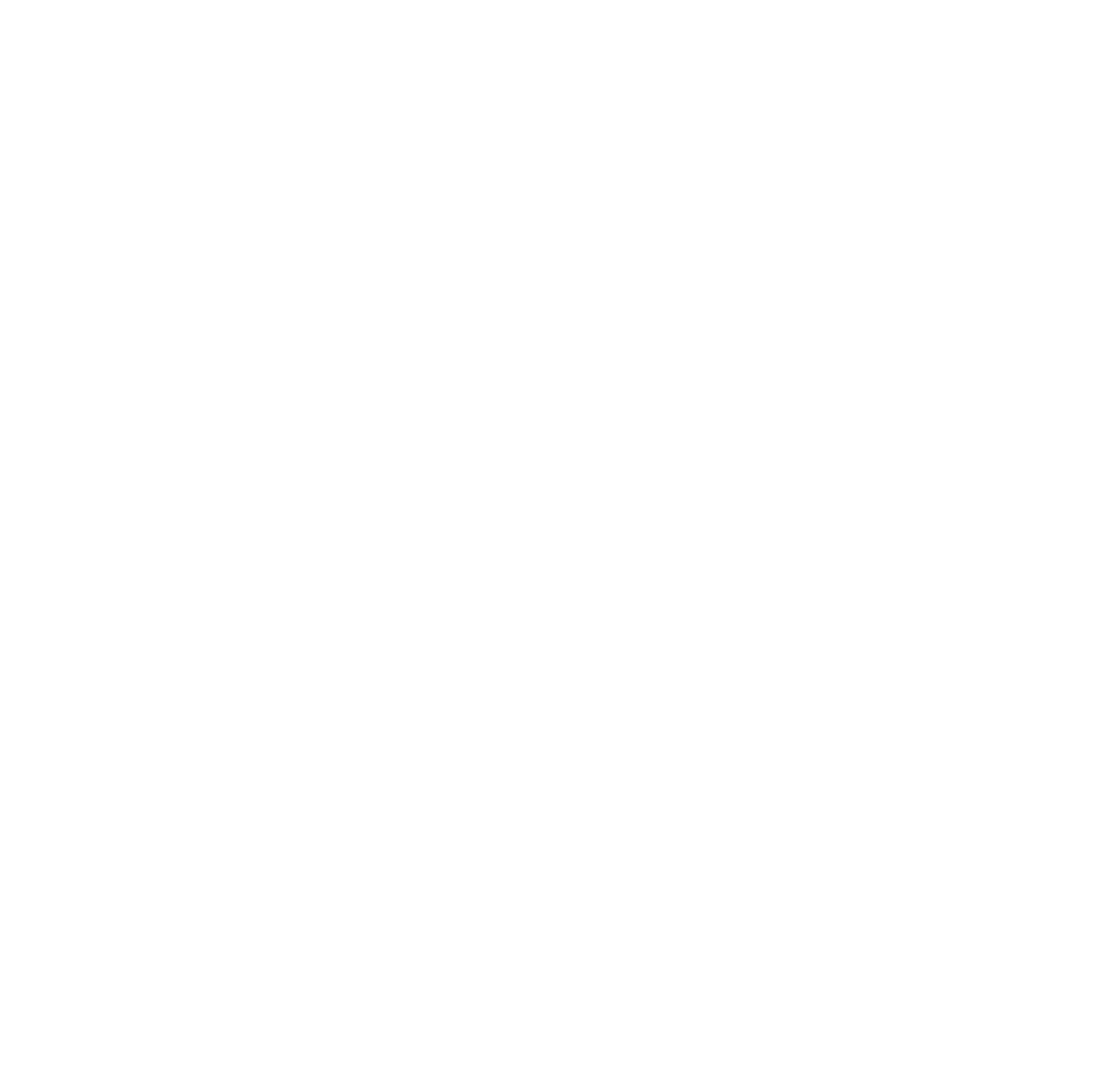 Black background with a white wireframe globe.