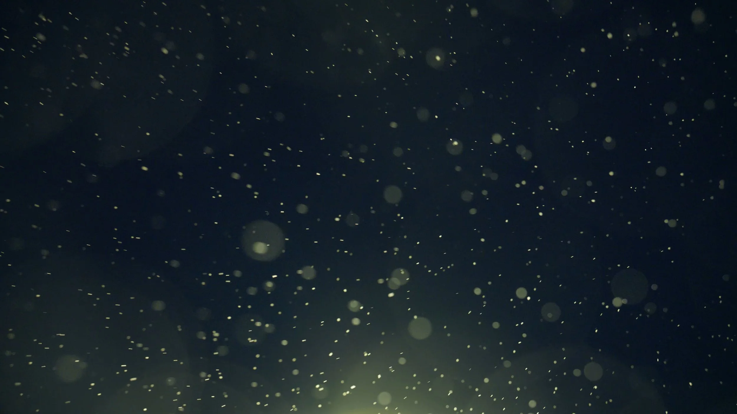 Dark background with numerous small, bright particles or snowflakes scattered throughout, creating a starry or snowfall effect.
