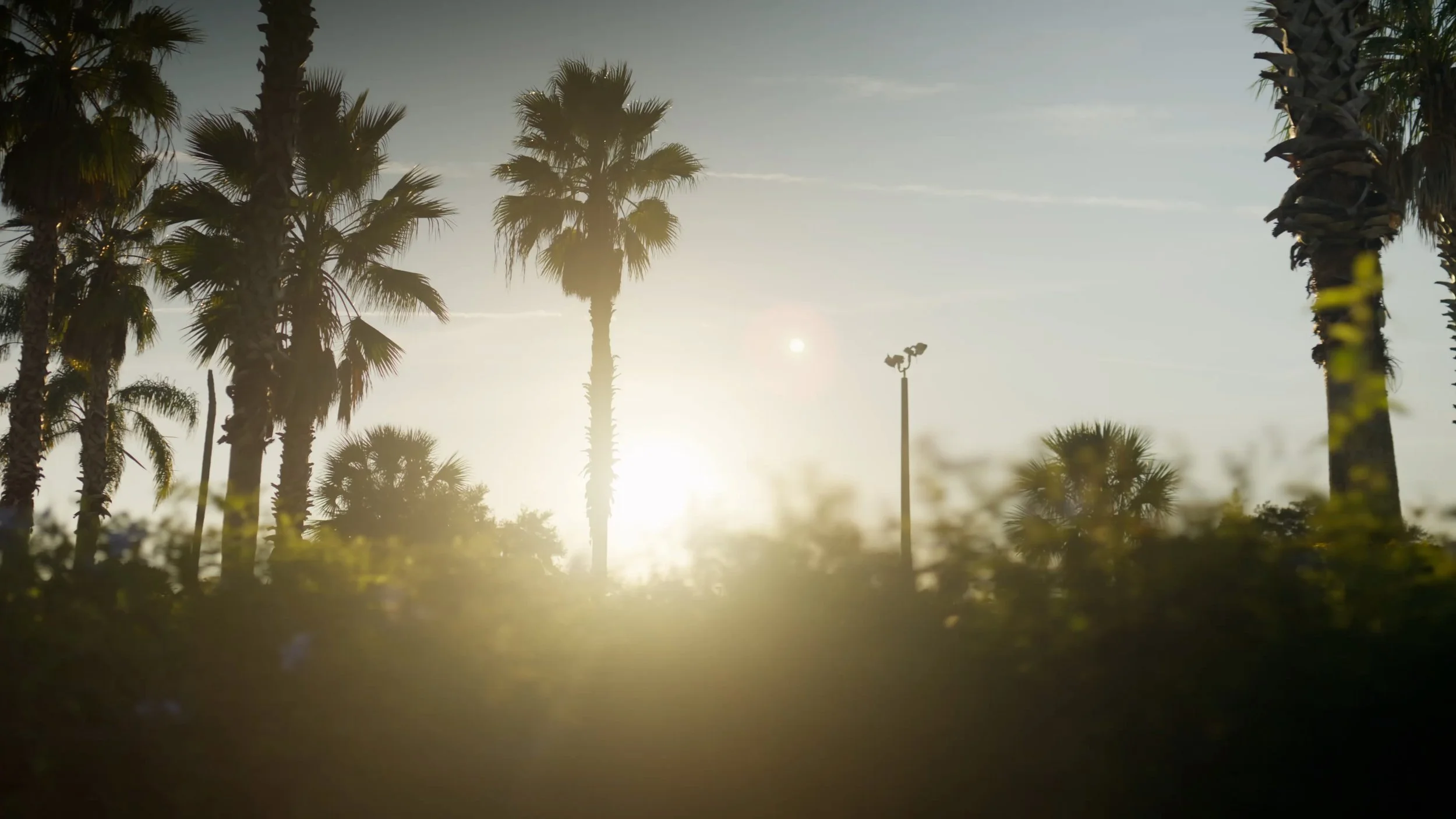 Silhouettes of palm trees against a setting sun in a cloudy sky.