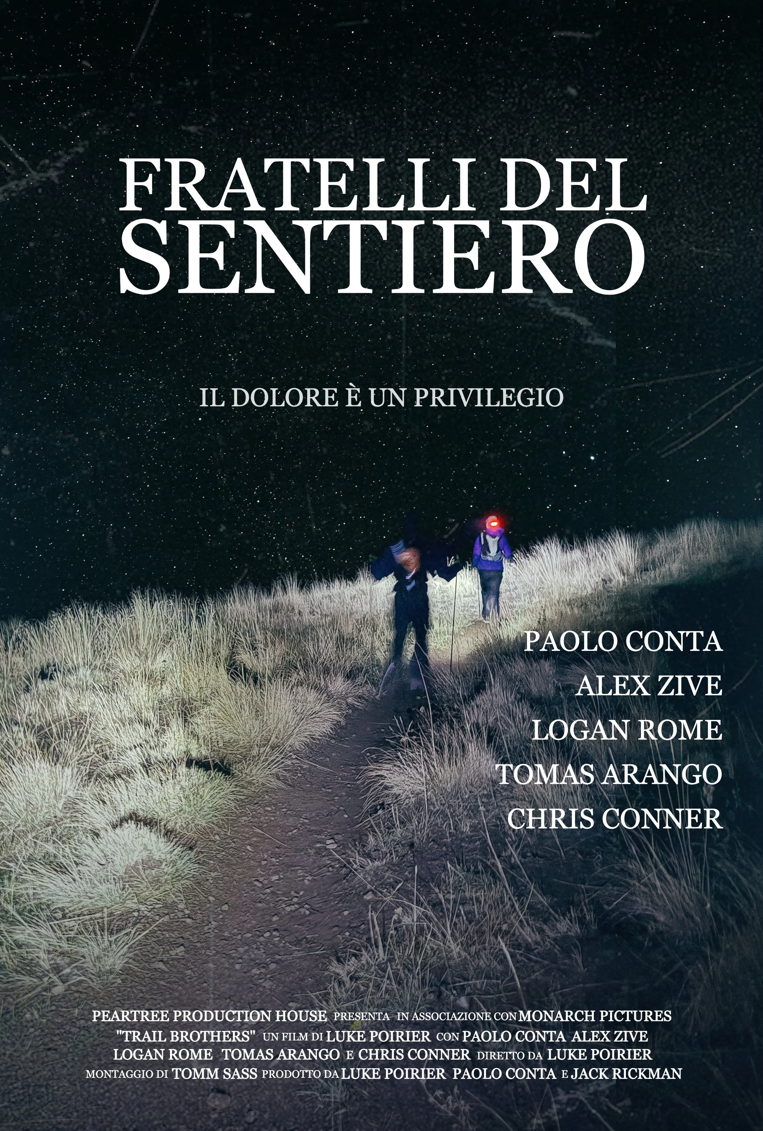 Nighttime scene with a trail through grassy terrain, two hikers carrying backpacks walking under a starry sky with visible constellations.