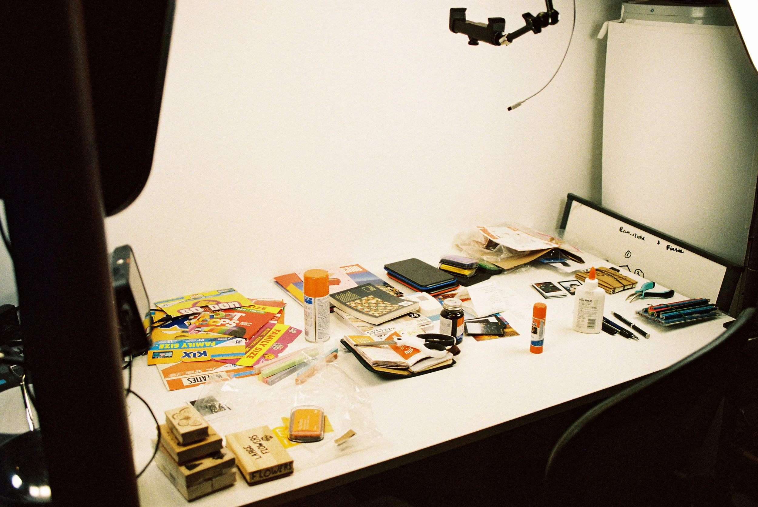 Fort Collins, CO | Portra 800