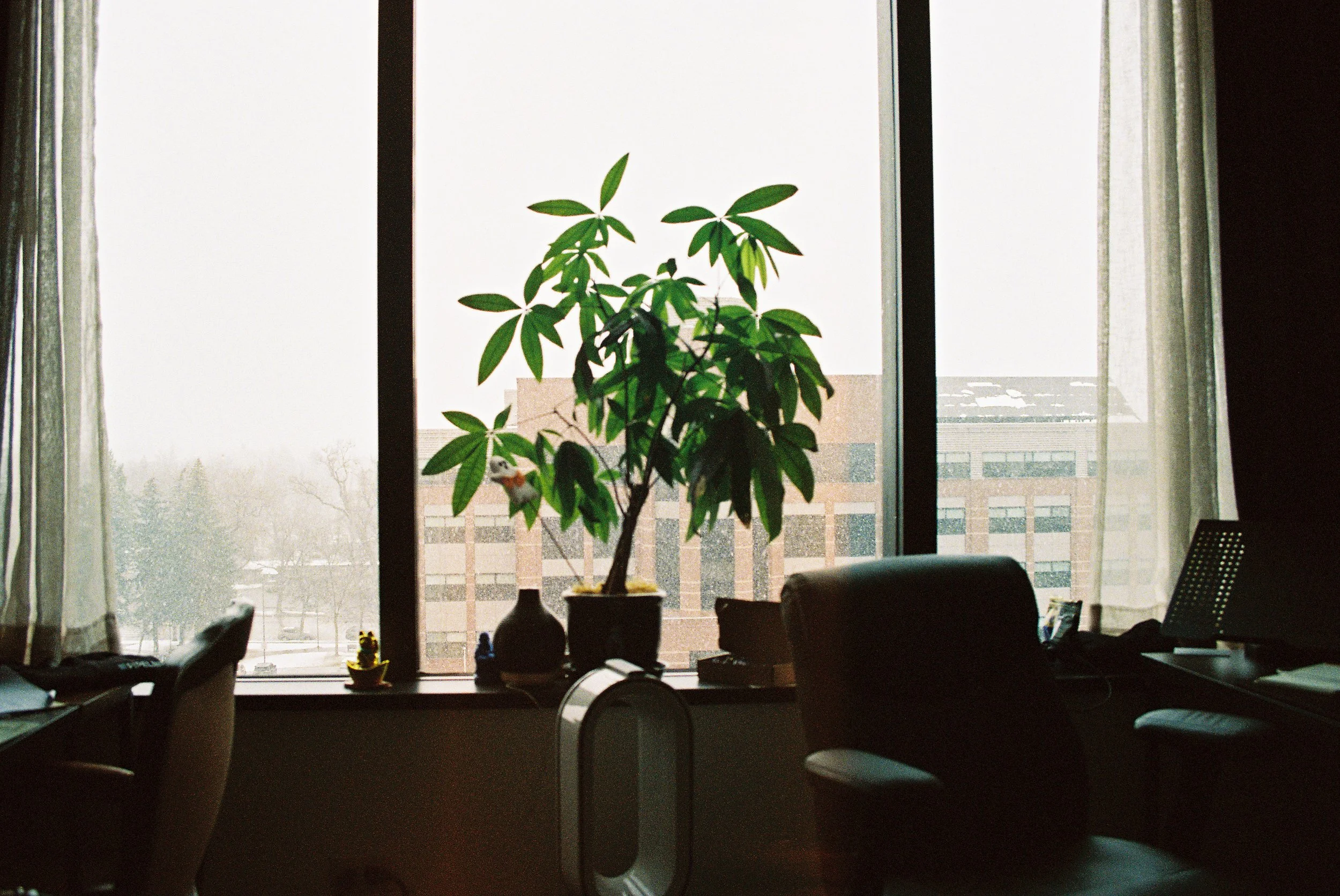 Fort Collins, CO | Portra 800