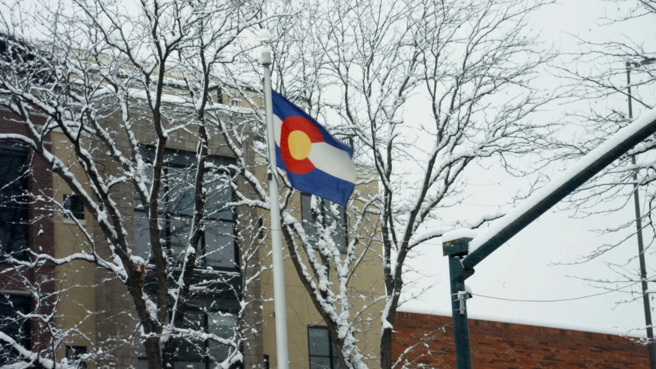 A Colorado flag flying on a pole amidst snow-covered trees and buildings during winter.