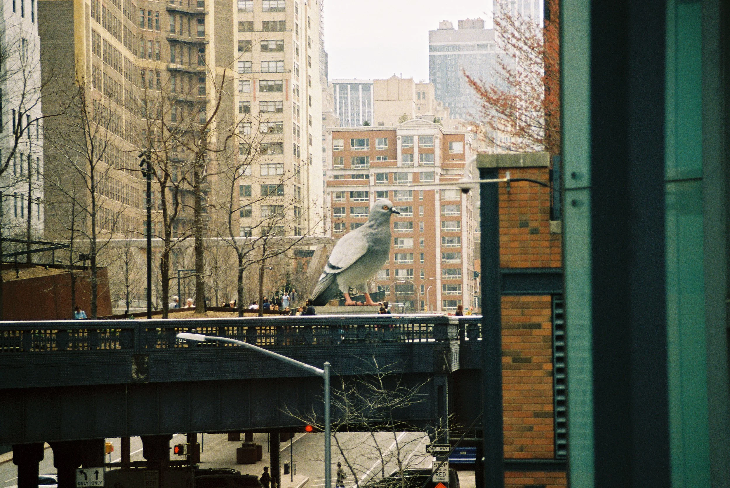 Midtown, NY | Portra 800