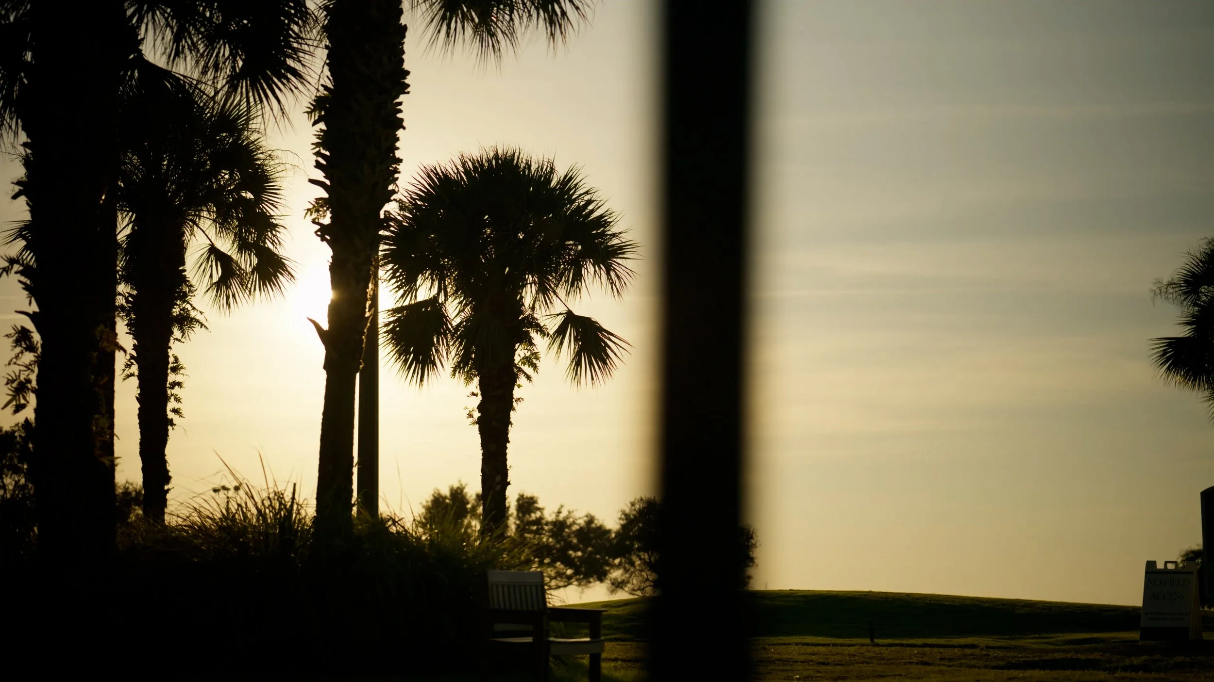 Silhouetted palm trees against a setting sun with a fence and benches in the foreground.