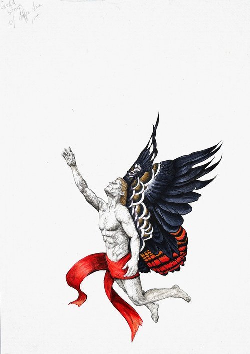 "Aussie Icarus" untouched