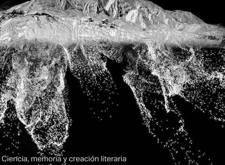RAICES COMPARTIDAS