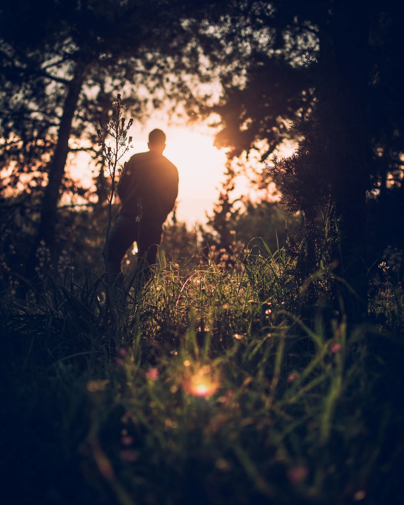 counseling for men akron ohio