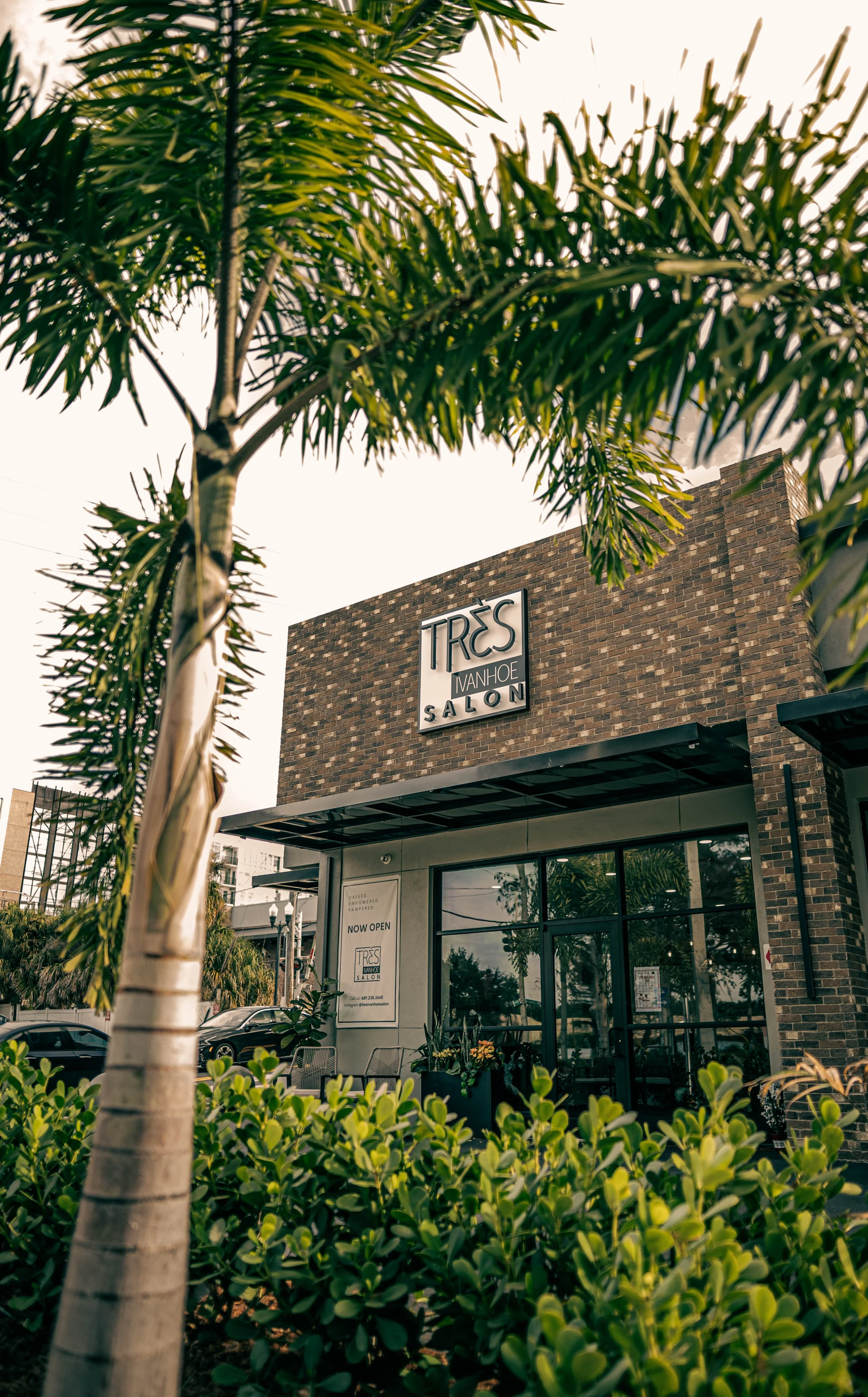 The modern brick exterior and entrance of Très Ivanhoe Salon in Ivanhoe Village, Orlando, framed by palm trees.