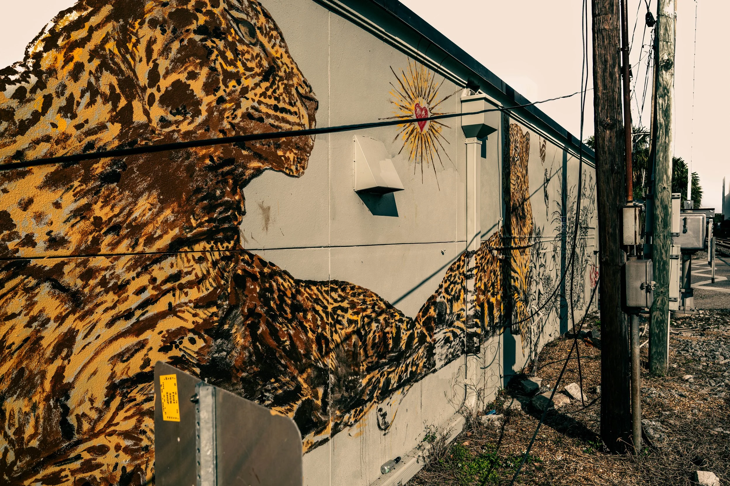 Colorful mural art in the Ivanhoe Village district, home to Très Ivanhoe Salon, reflecting the creative and artistic spirit of our Orlando community.