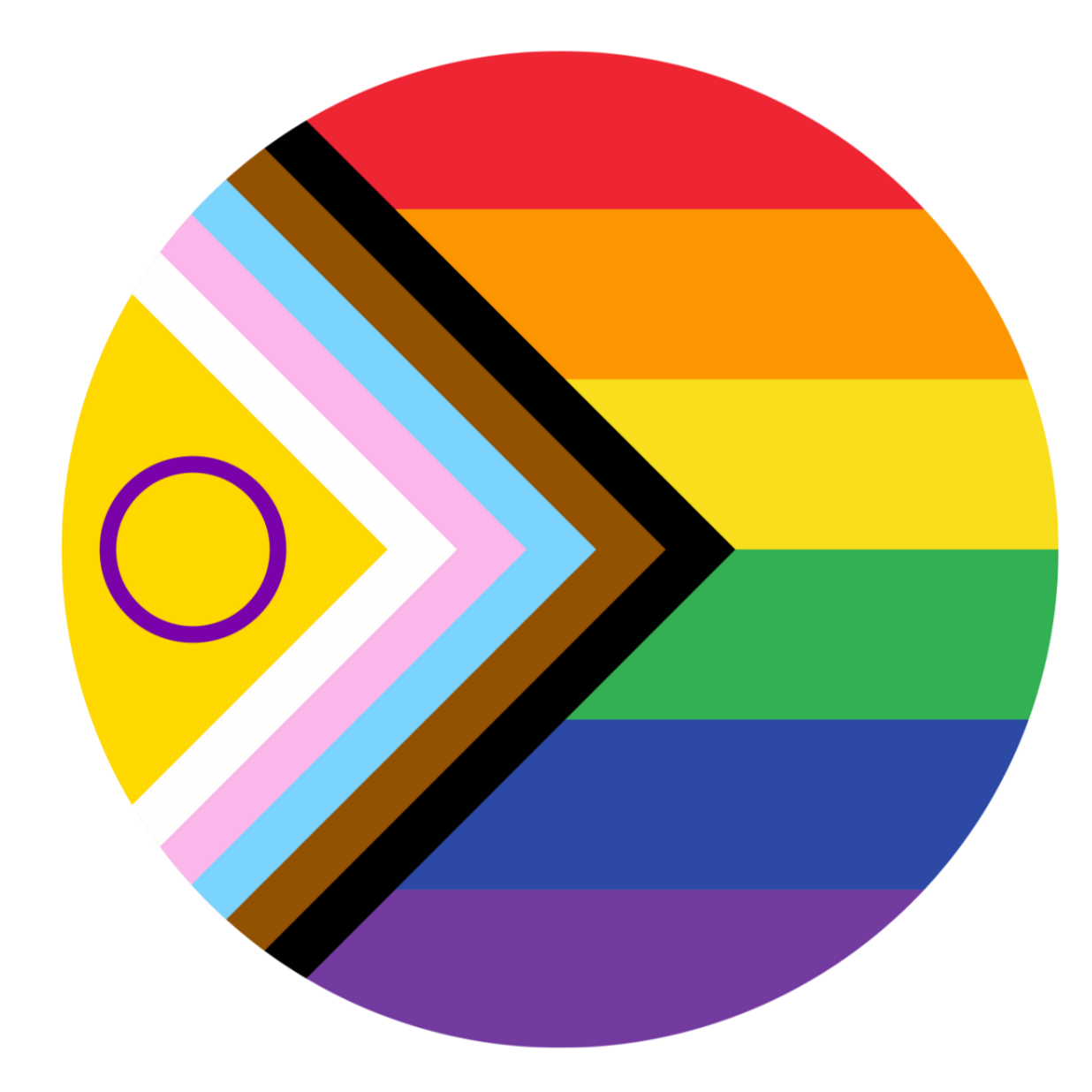Progress pride flag featuring the black, green, yellow, orange, pink, brown, and purple stripes of the LGBTQ+ pride flag with an additional yellow triangle with a purple circle inside, and a black triangle with a white arrow pointing right.