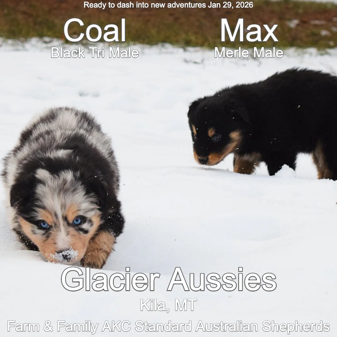 Jan 11 Coal :Max 1.jpg