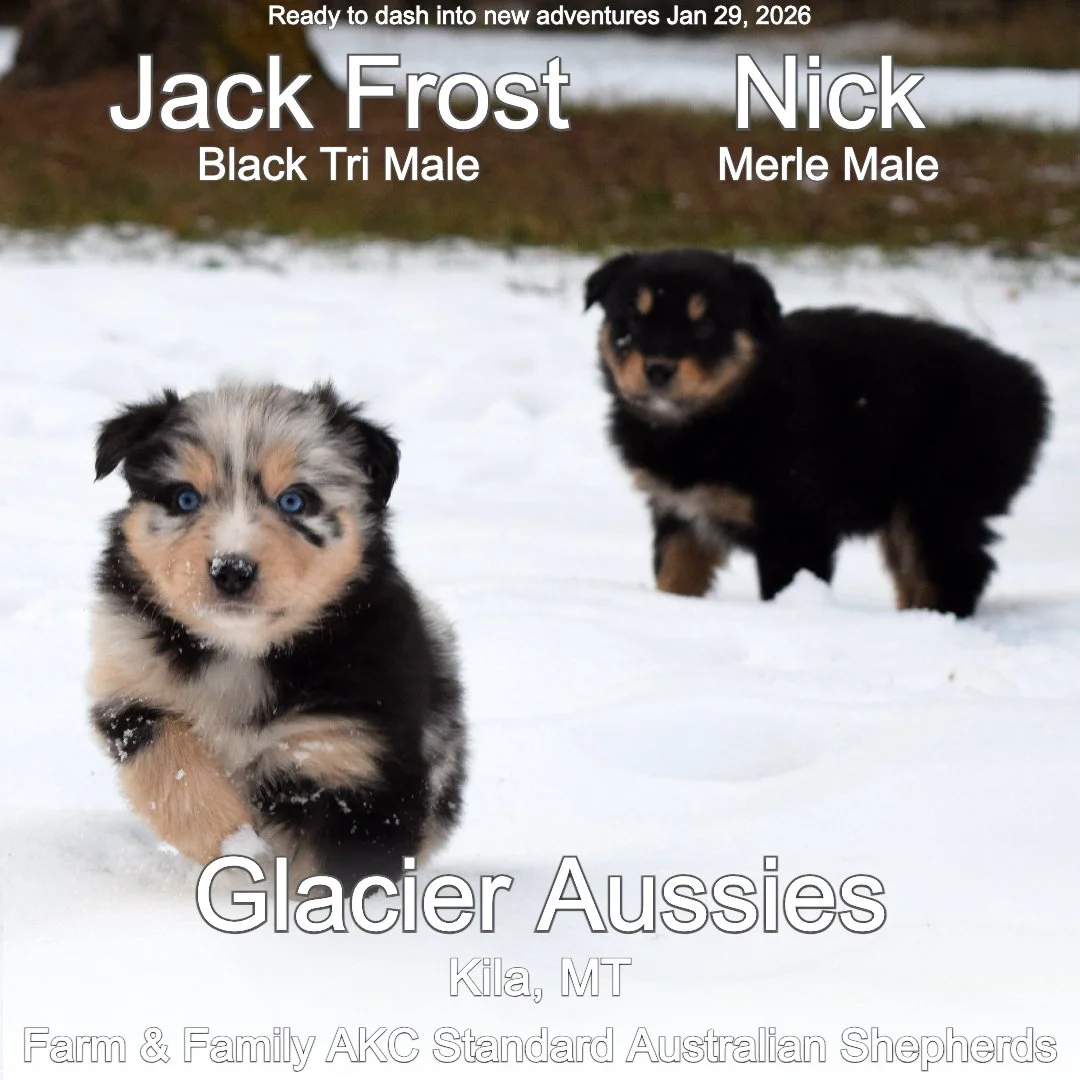 Jan 11 Jack :Nick 5.jpg