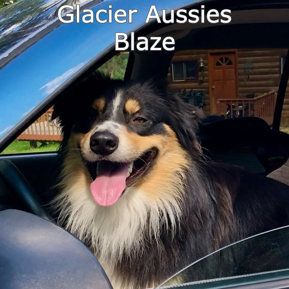 Blaze car.jpg