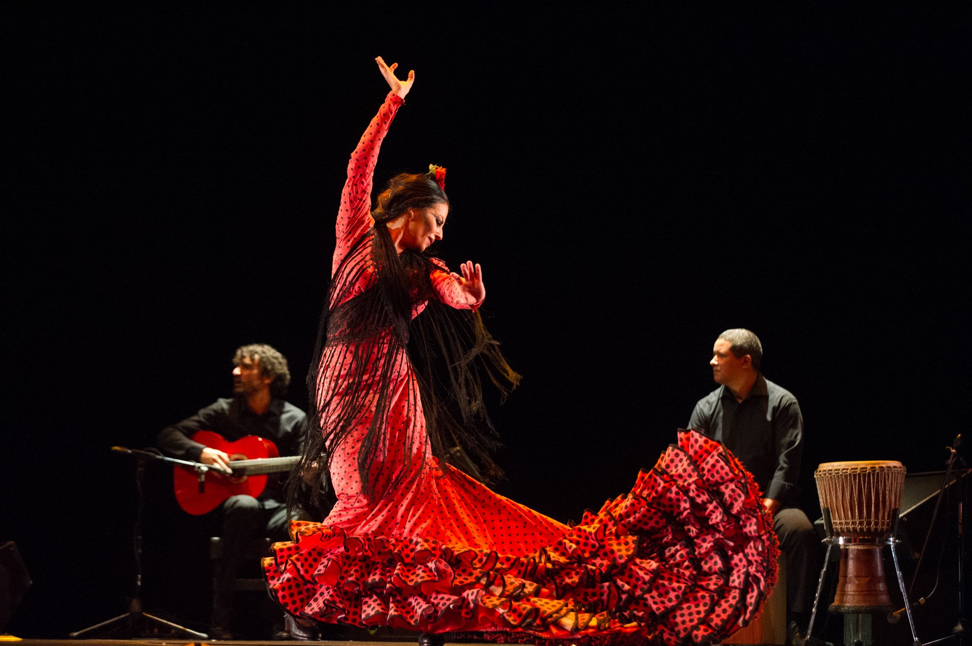 140705-FestivalFlamenco_061_72dpi.jpg