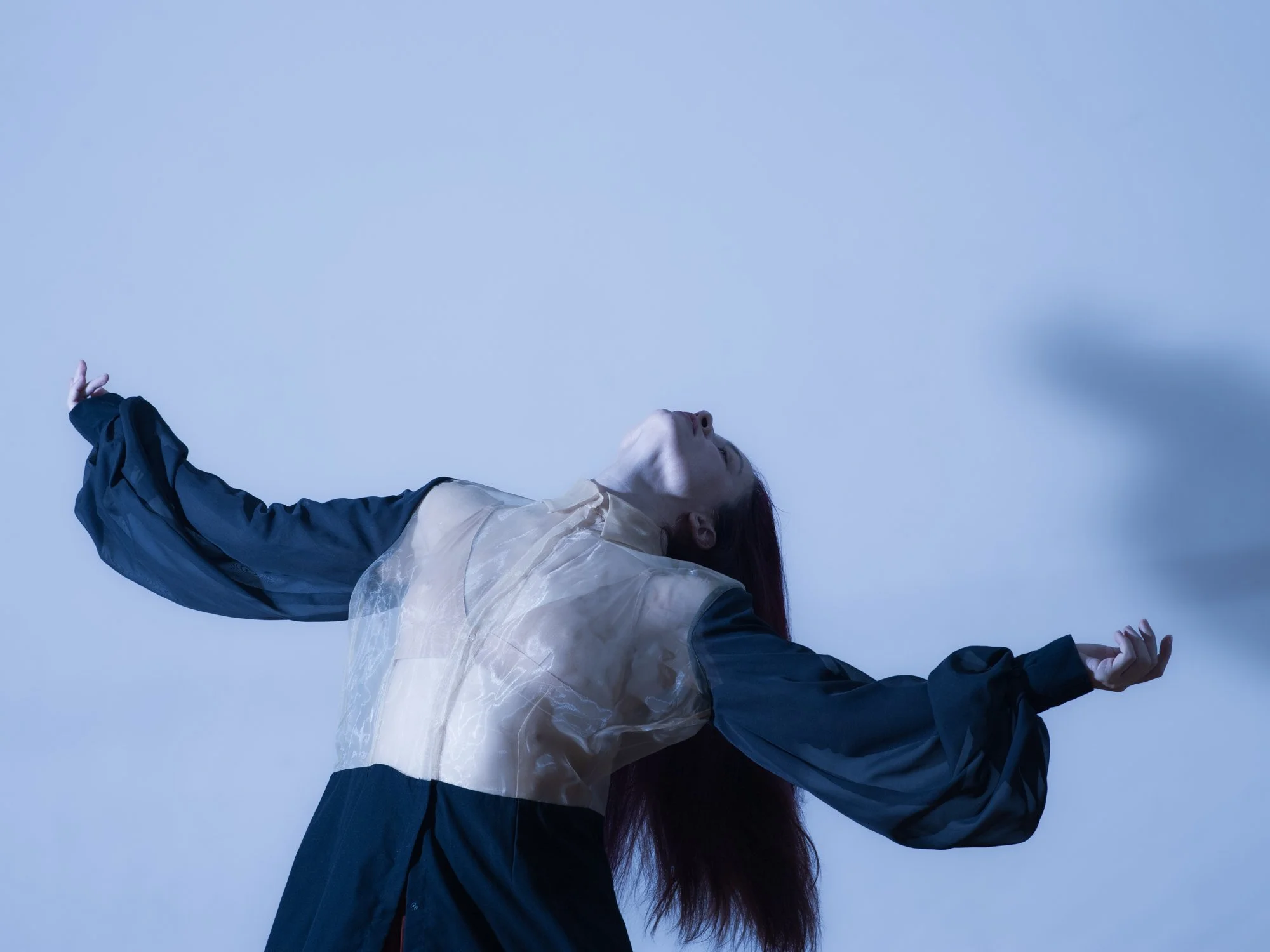 Choreographer Collaborations