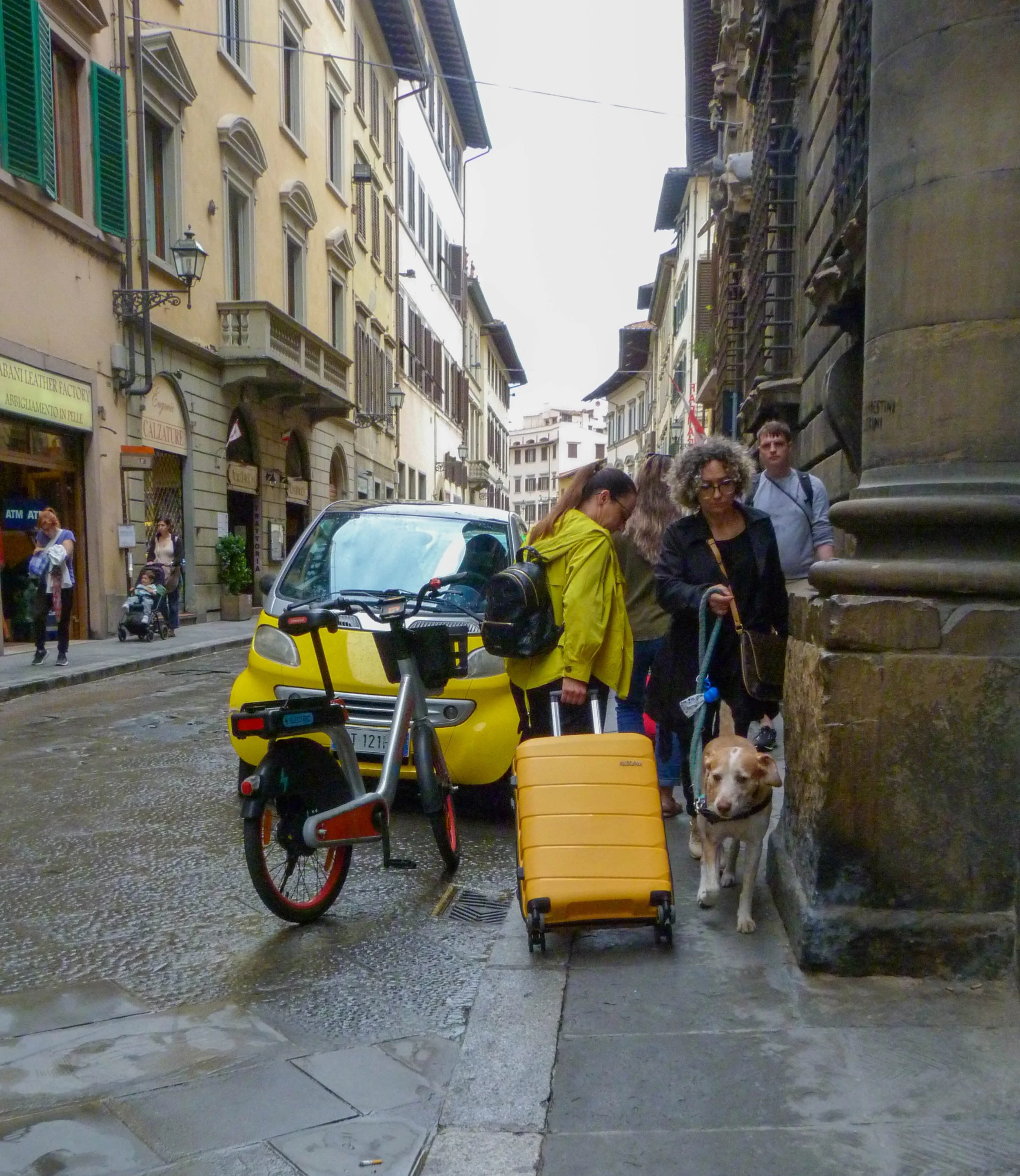 P1060010.jpg