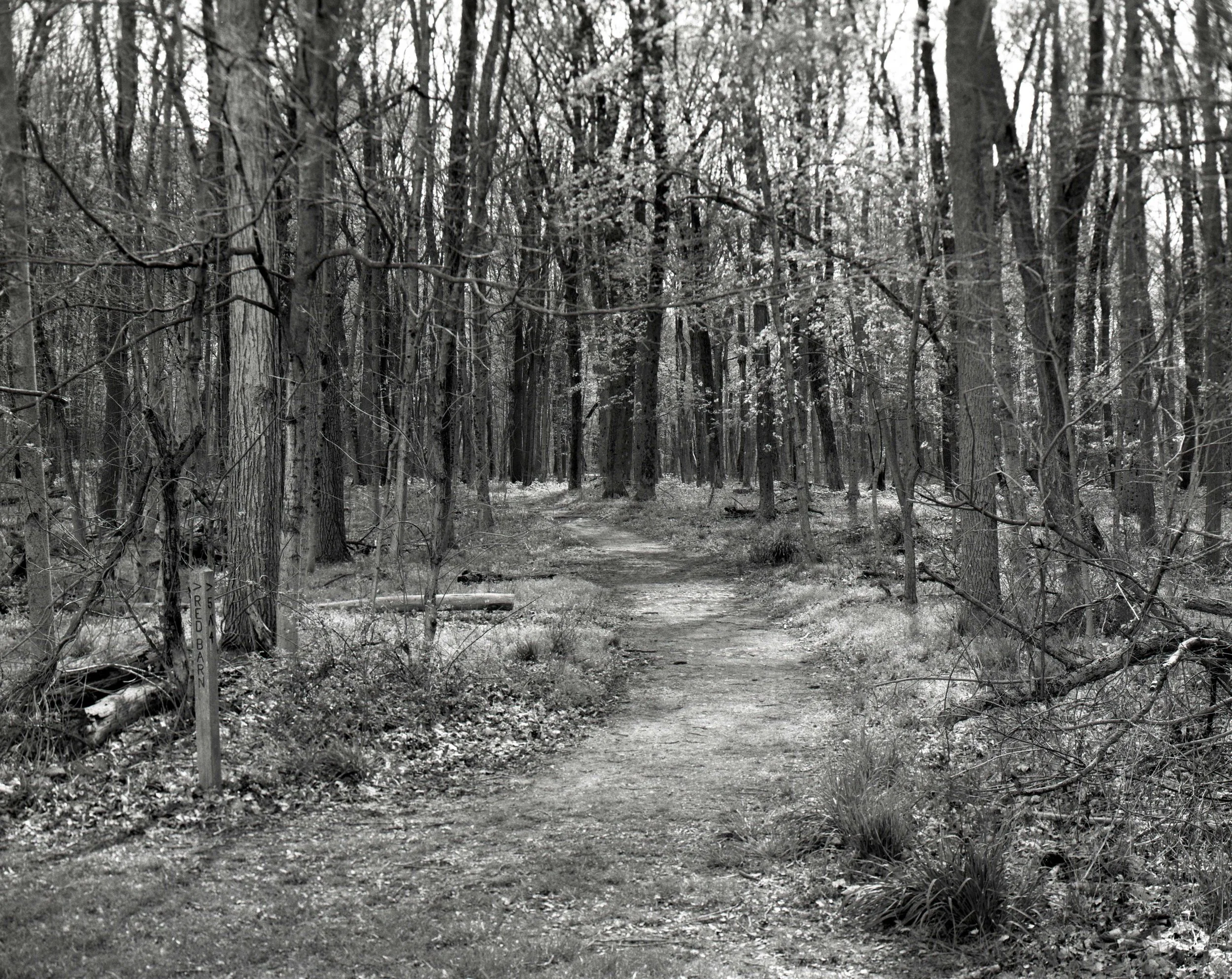 Large Format