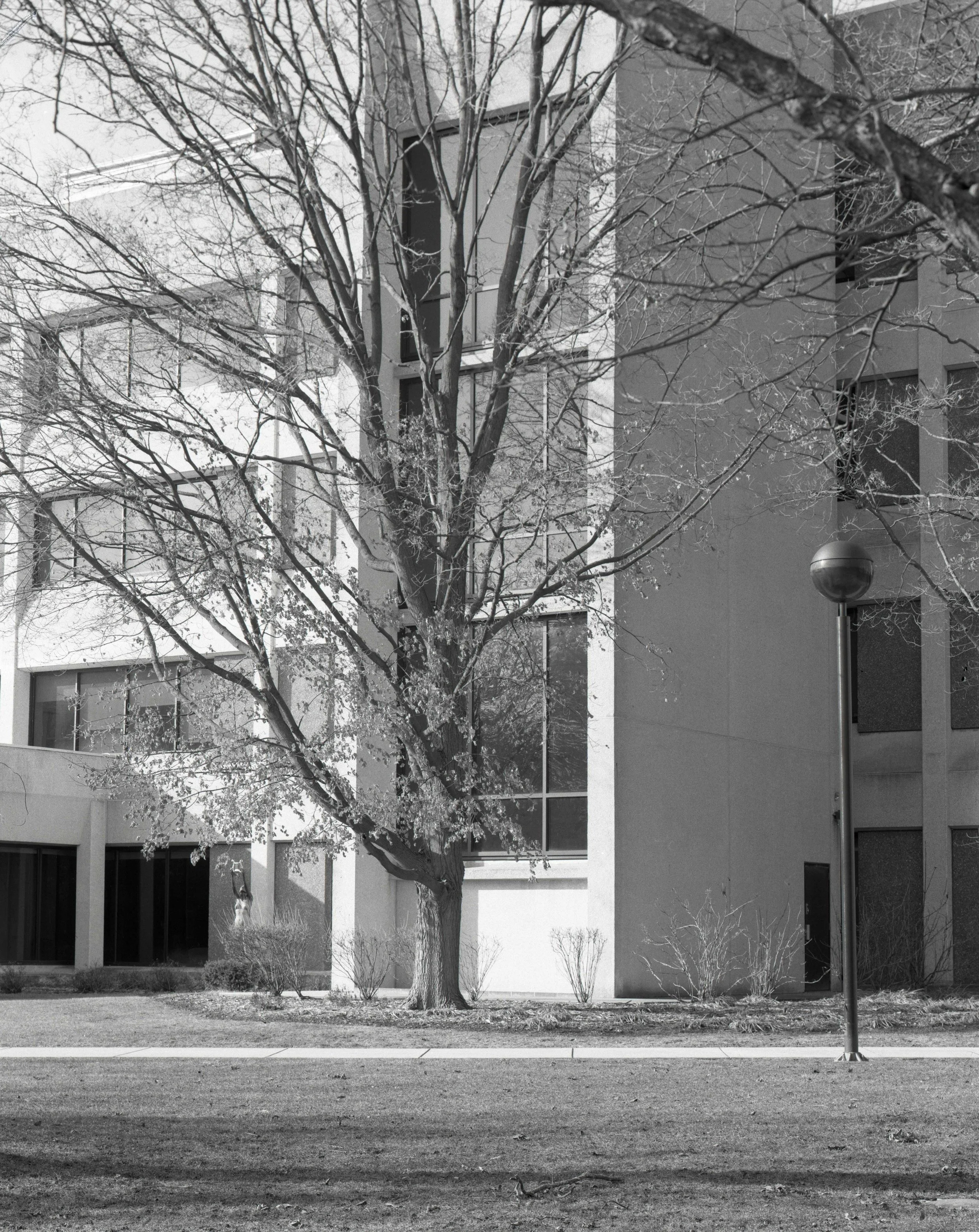 morganarchitecture-(1)-web.jpg