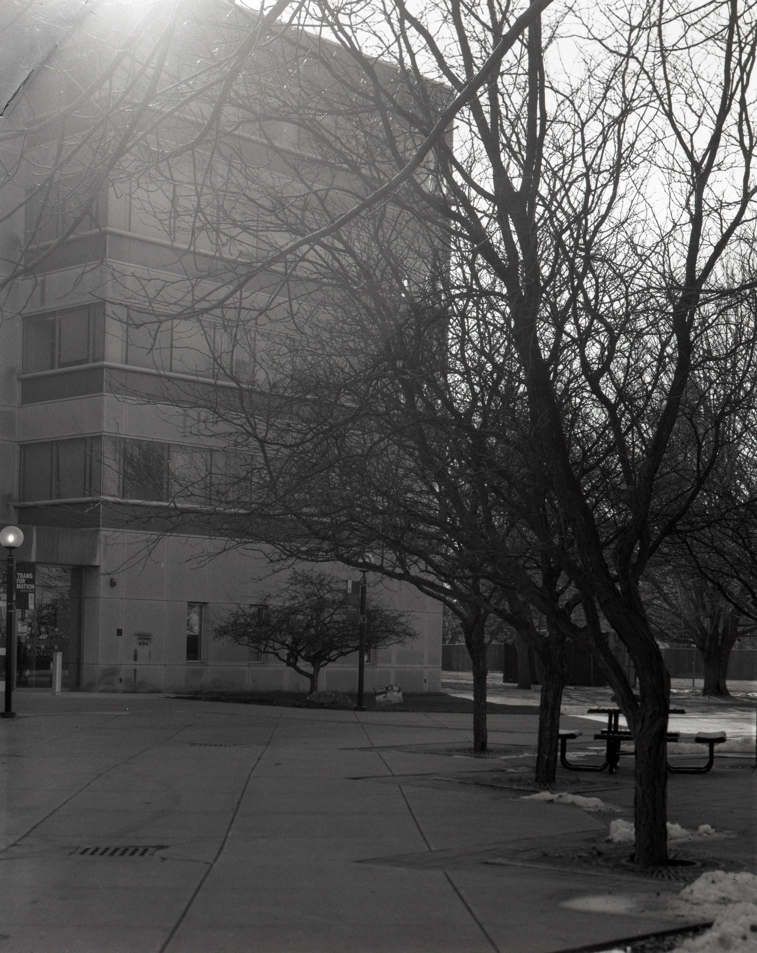 morganarchitecture2-web.jpg