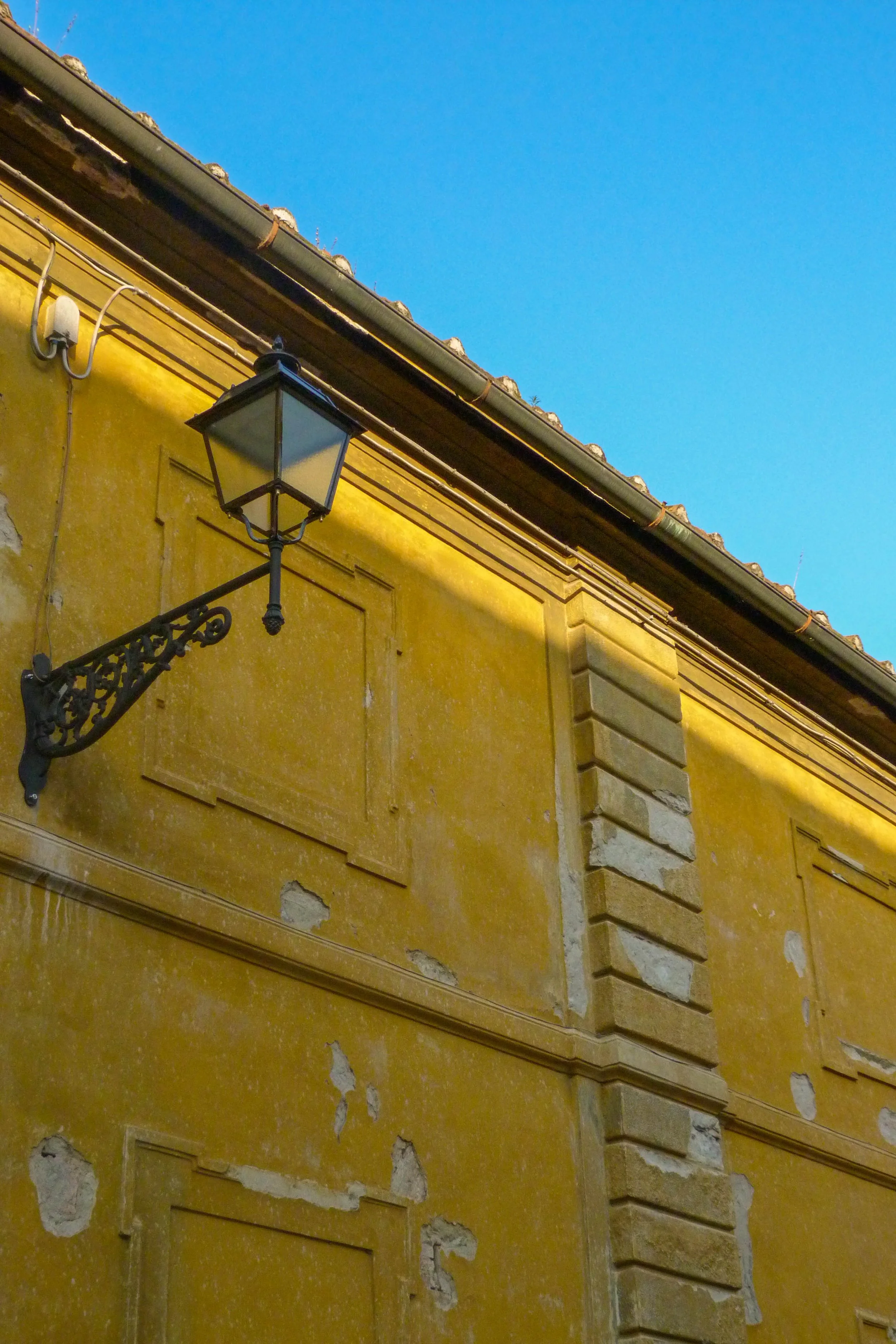 P1050245.jpg