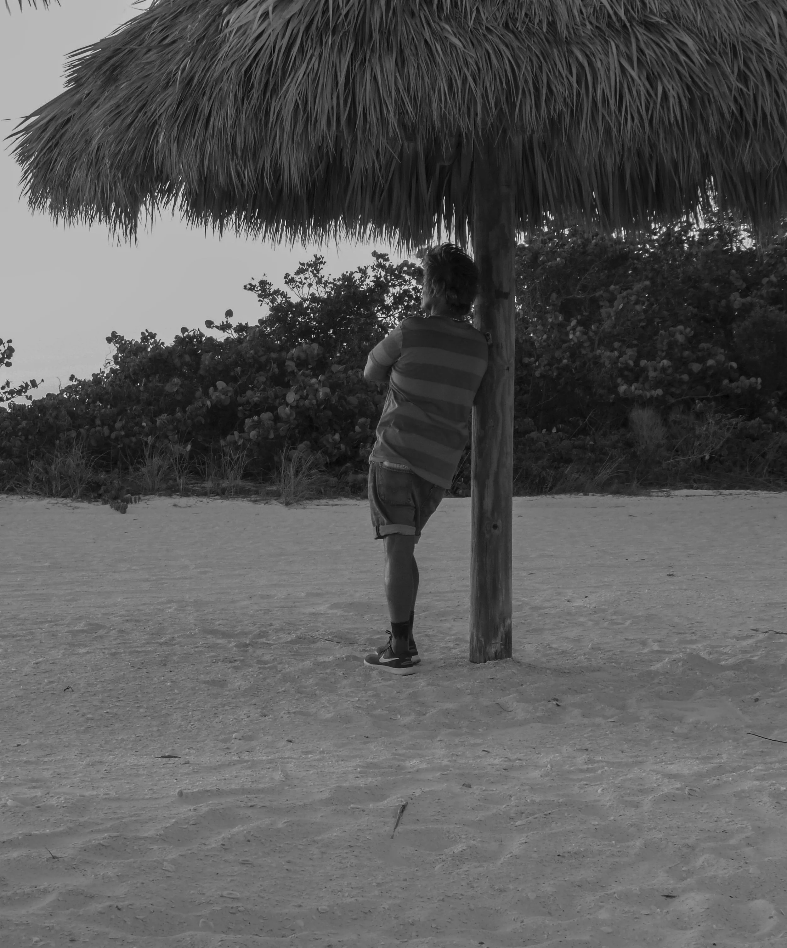 guy watching sunset.jpg