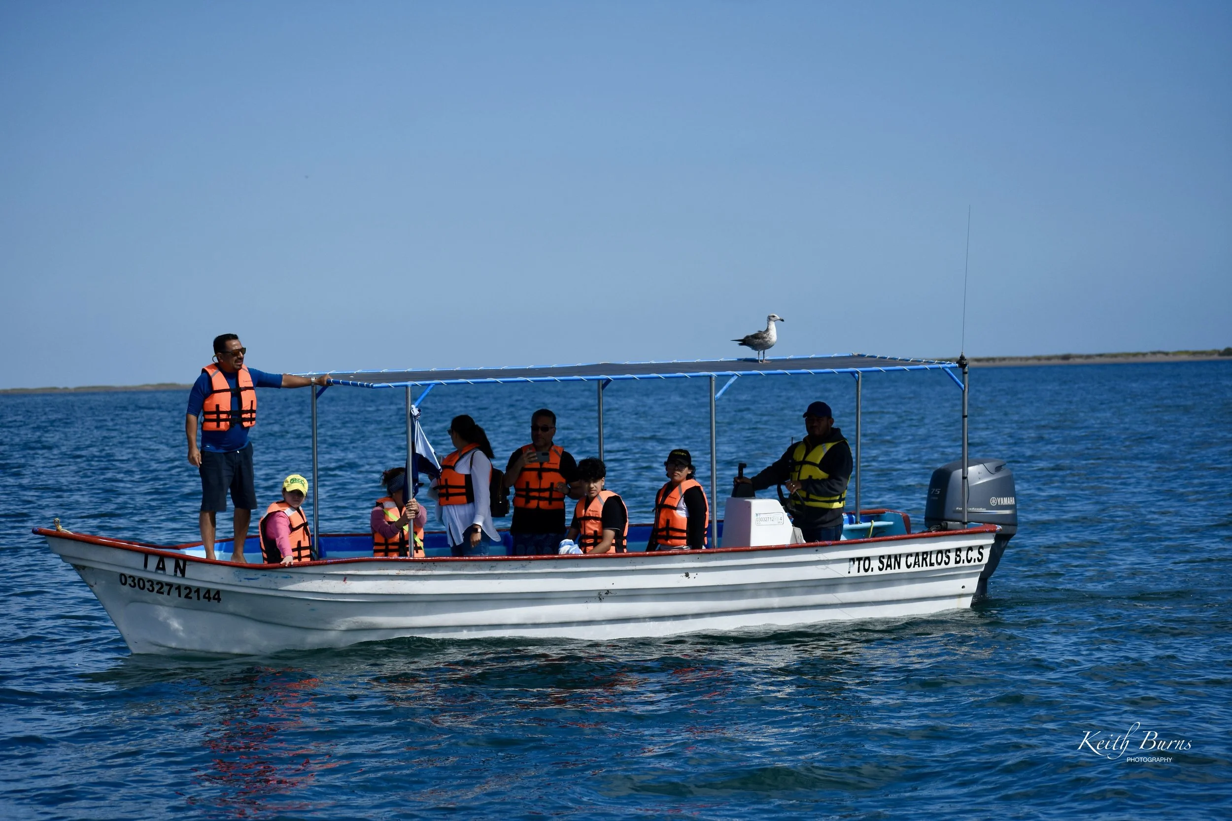 A group of people on a boat wearing orange life jackets riding on blue water, with a seagull standing on a canopy above the group.