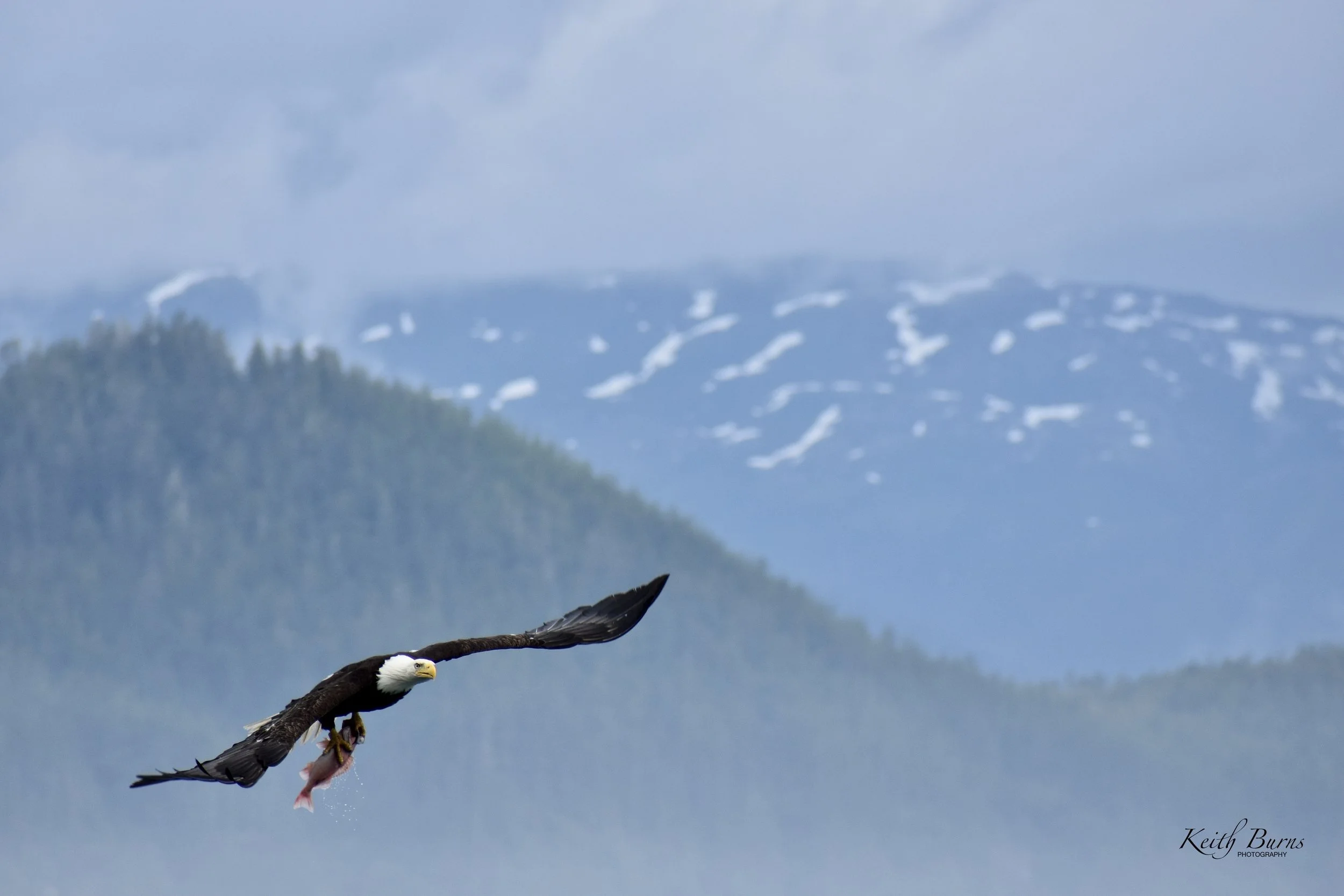 Alaska, 2022