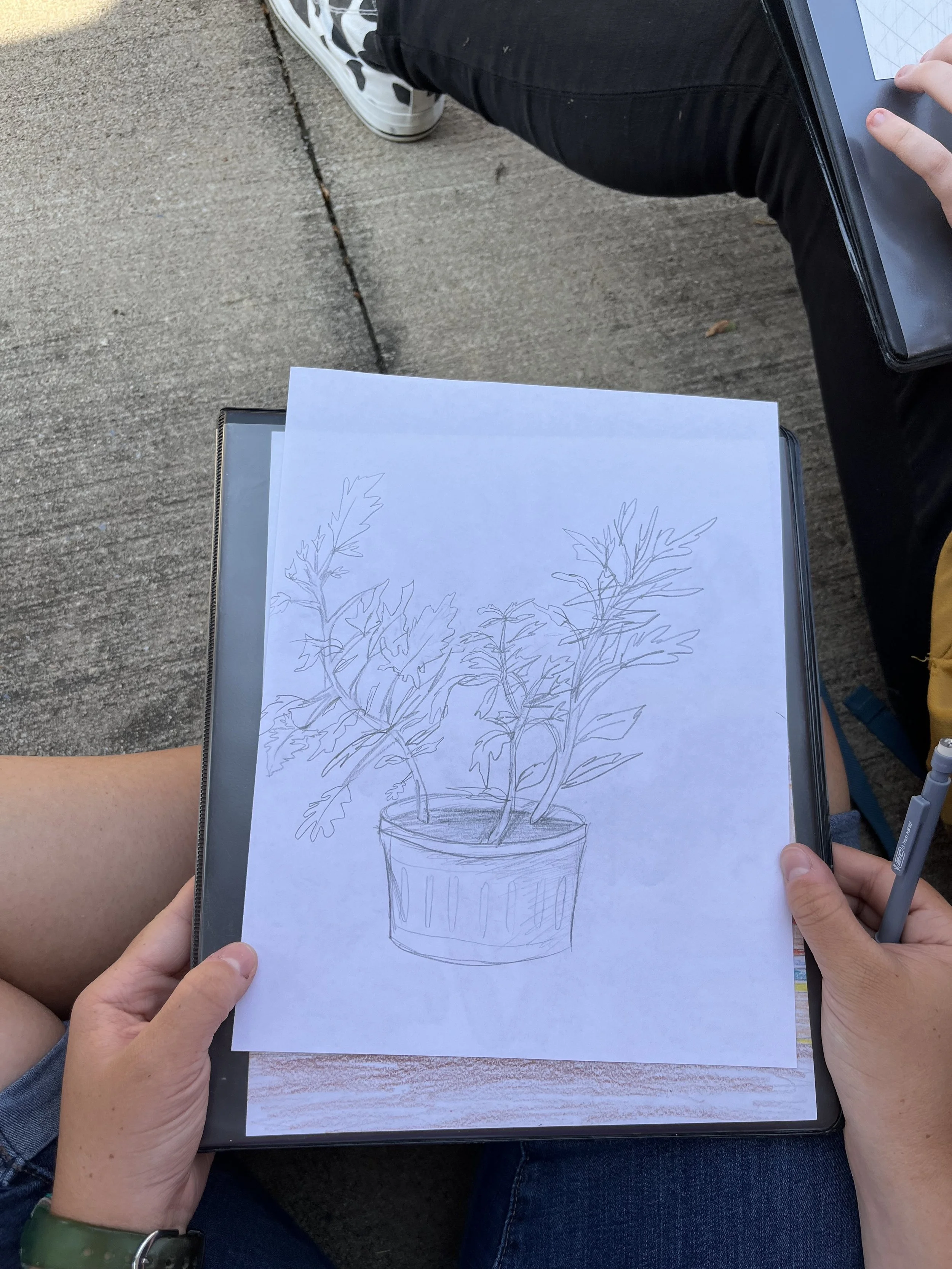 A person sitting outdoors holding a sketch of a potted leafy plant on a sheet of white paper.