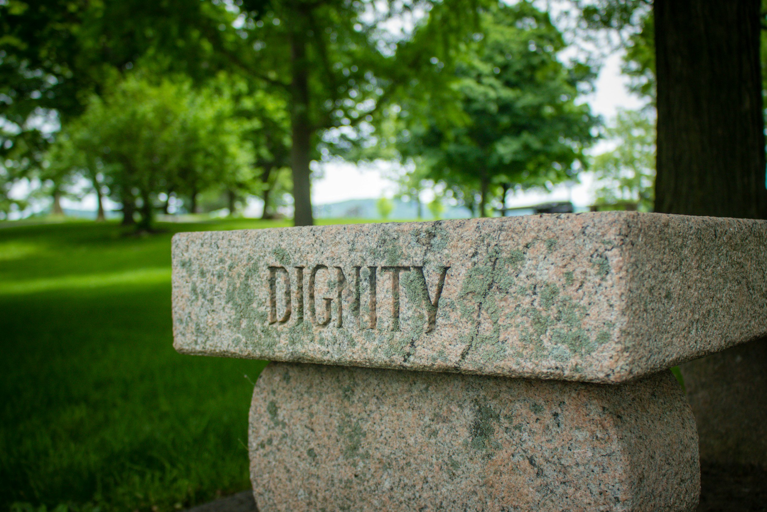 Stone bench with the word 'DIGNITY' carved into it, situated outdoors in a park with green grass and trees.