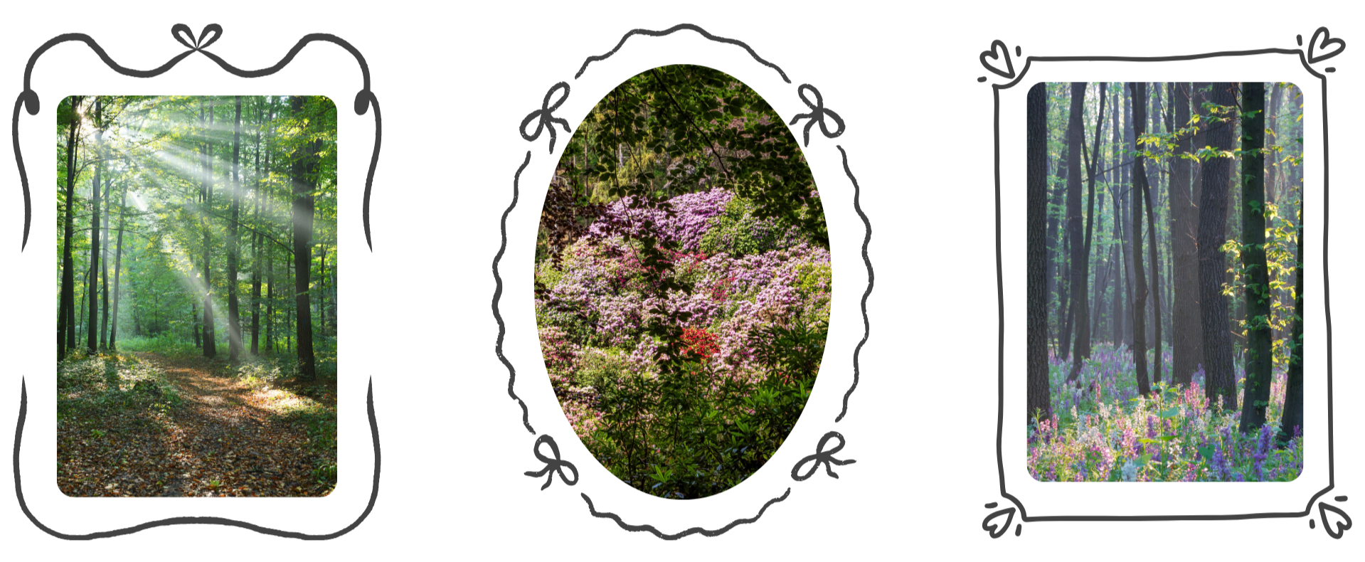 Three forest scenes showcase wild flowers, divine lighting peeking through, representing the abundant possibilities of telling your best story. The images are placed in hand-drawn frames made of ribbons and hearts.