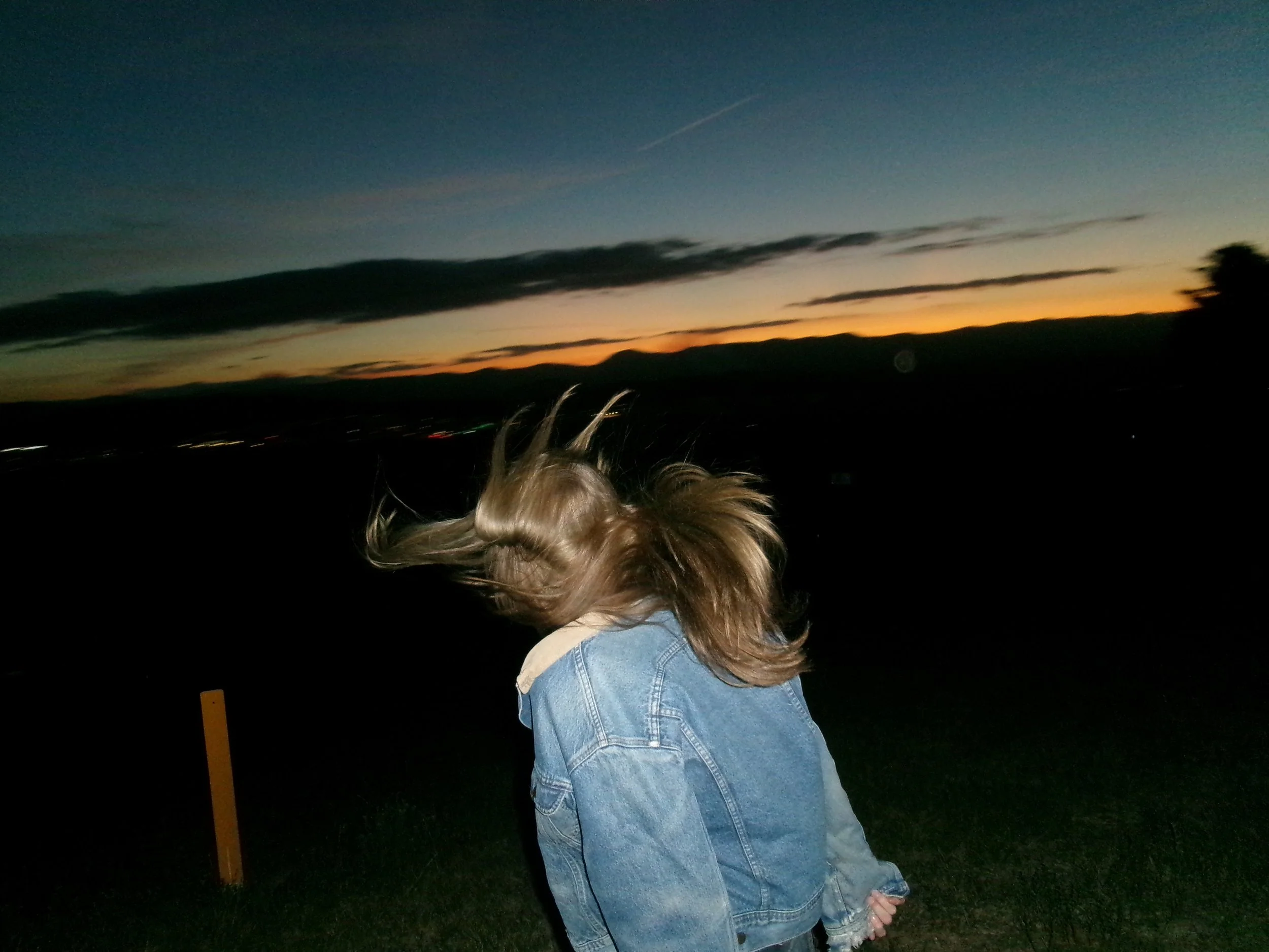 collection: "00/06/0000"
(2025)
shot by carter hyam
model: ivy ellis