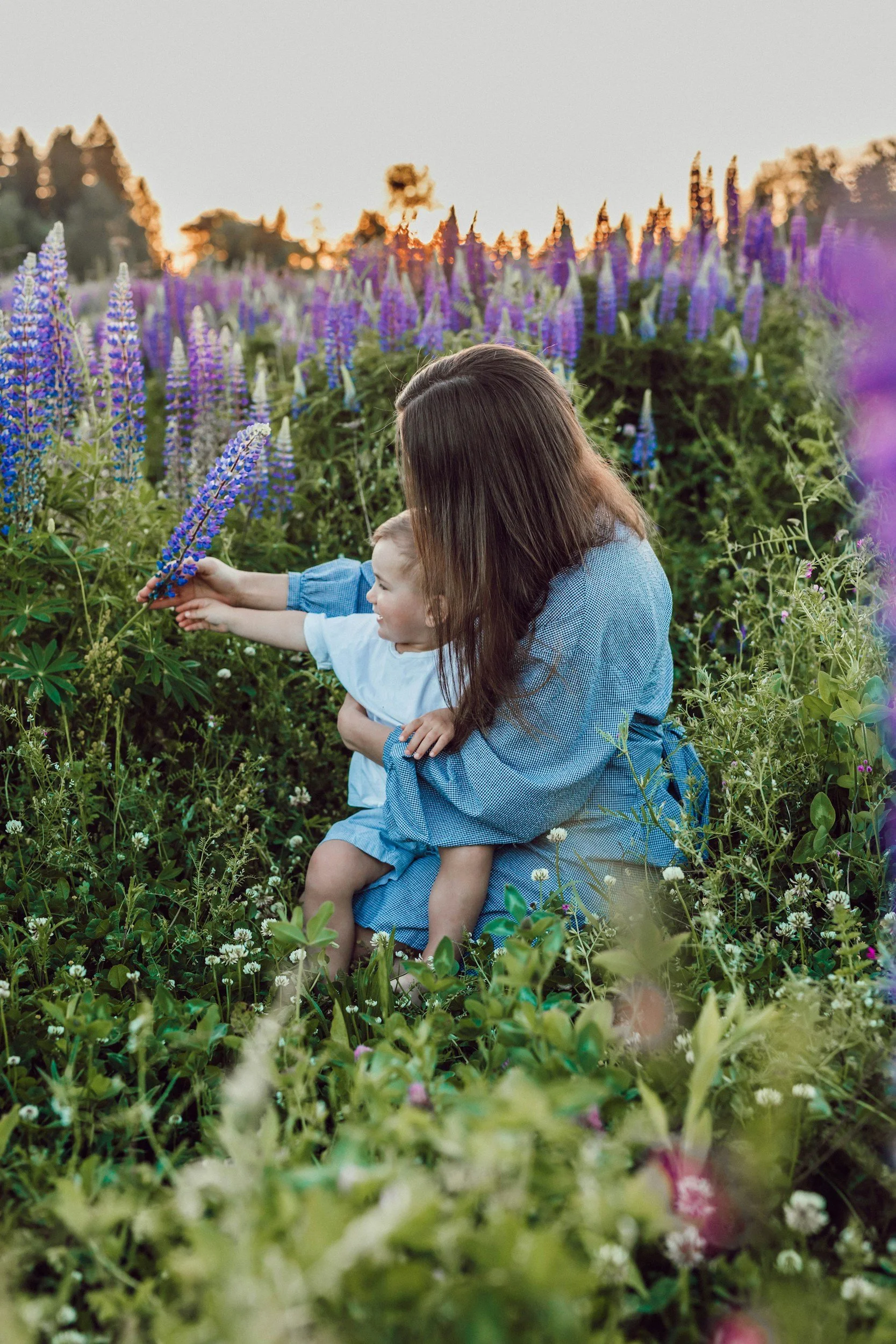 A woman and a young child sitting in a field of tall purple and white flowers during sunset.