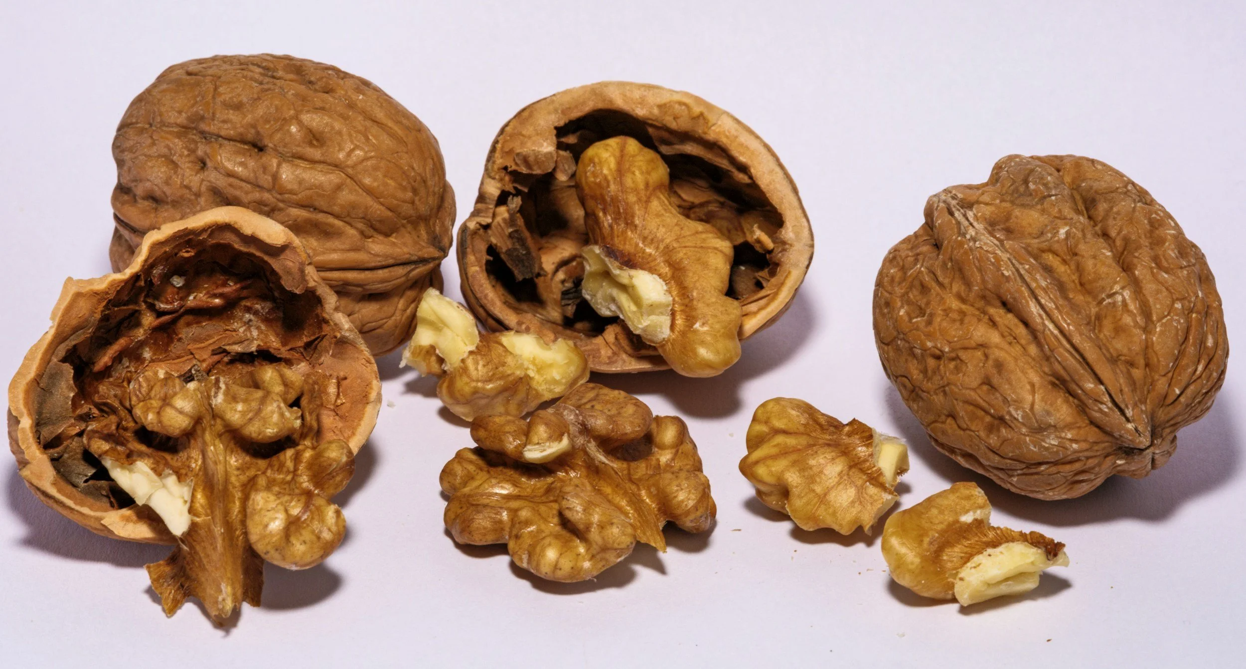 Whole and cracked open walnuts with some separated walnut pieces on a white background.