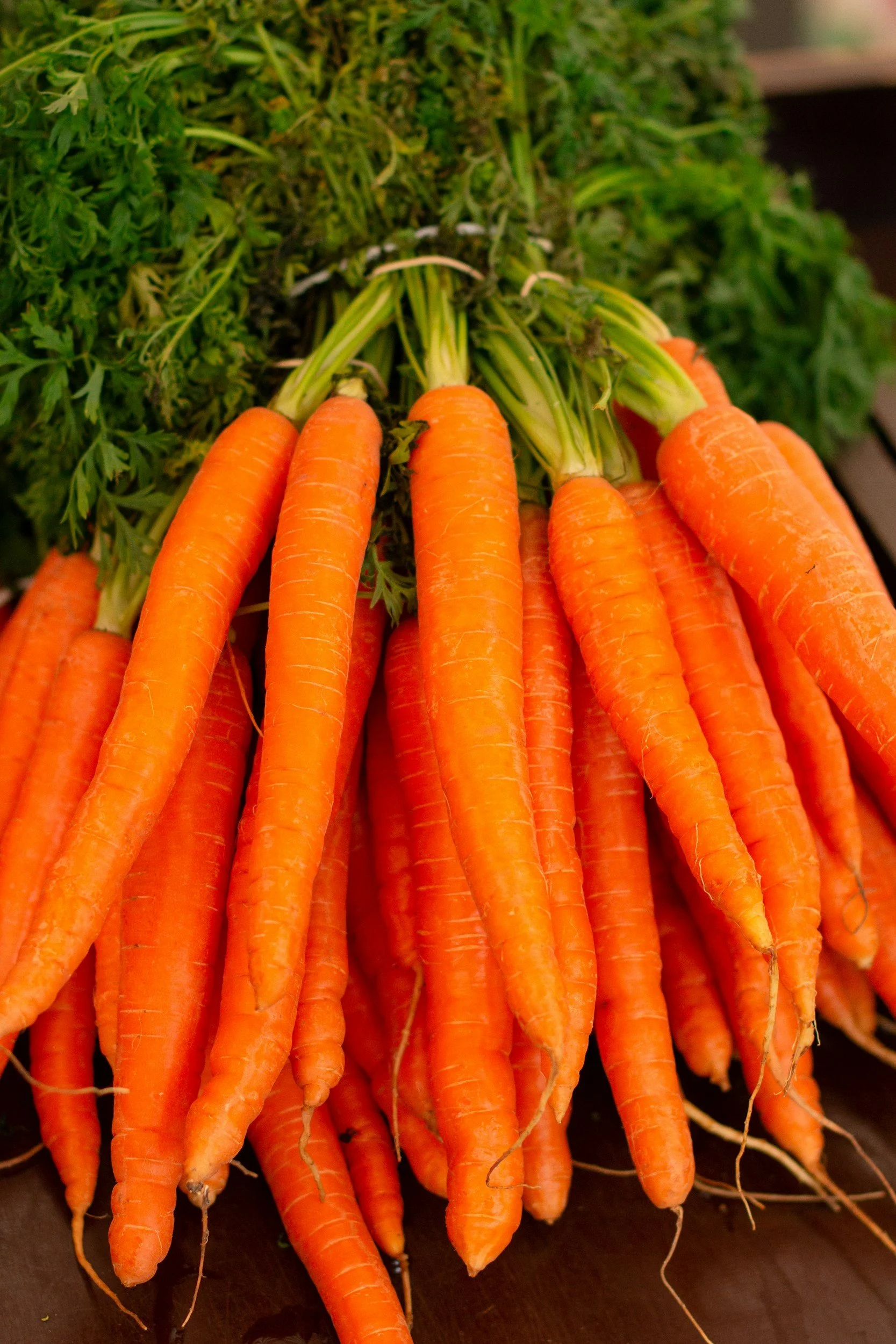 Fresh orange carrots with green leafy tops, piled together on a surface.