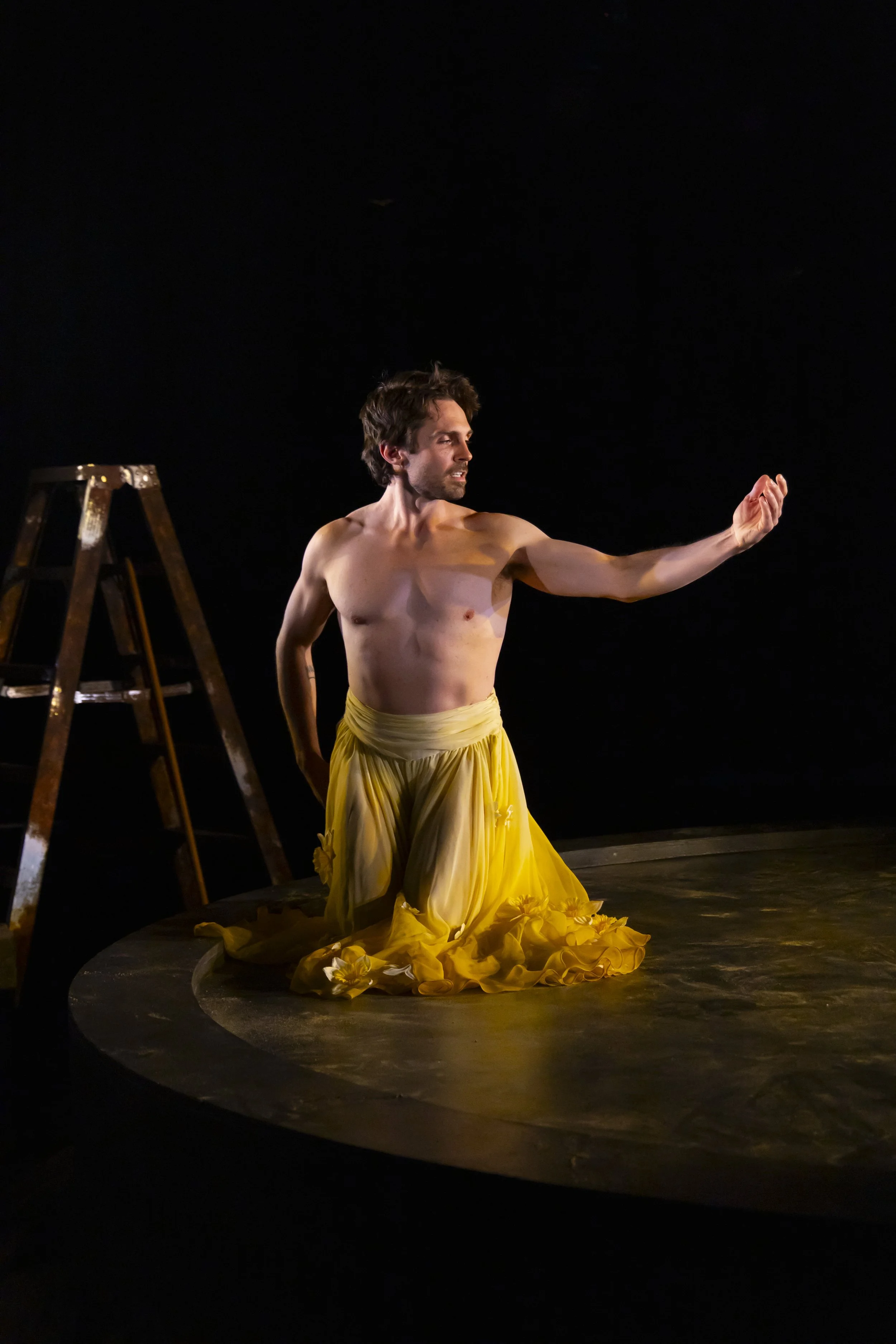 Metamorphoses DGSD 11-24_369.JPG