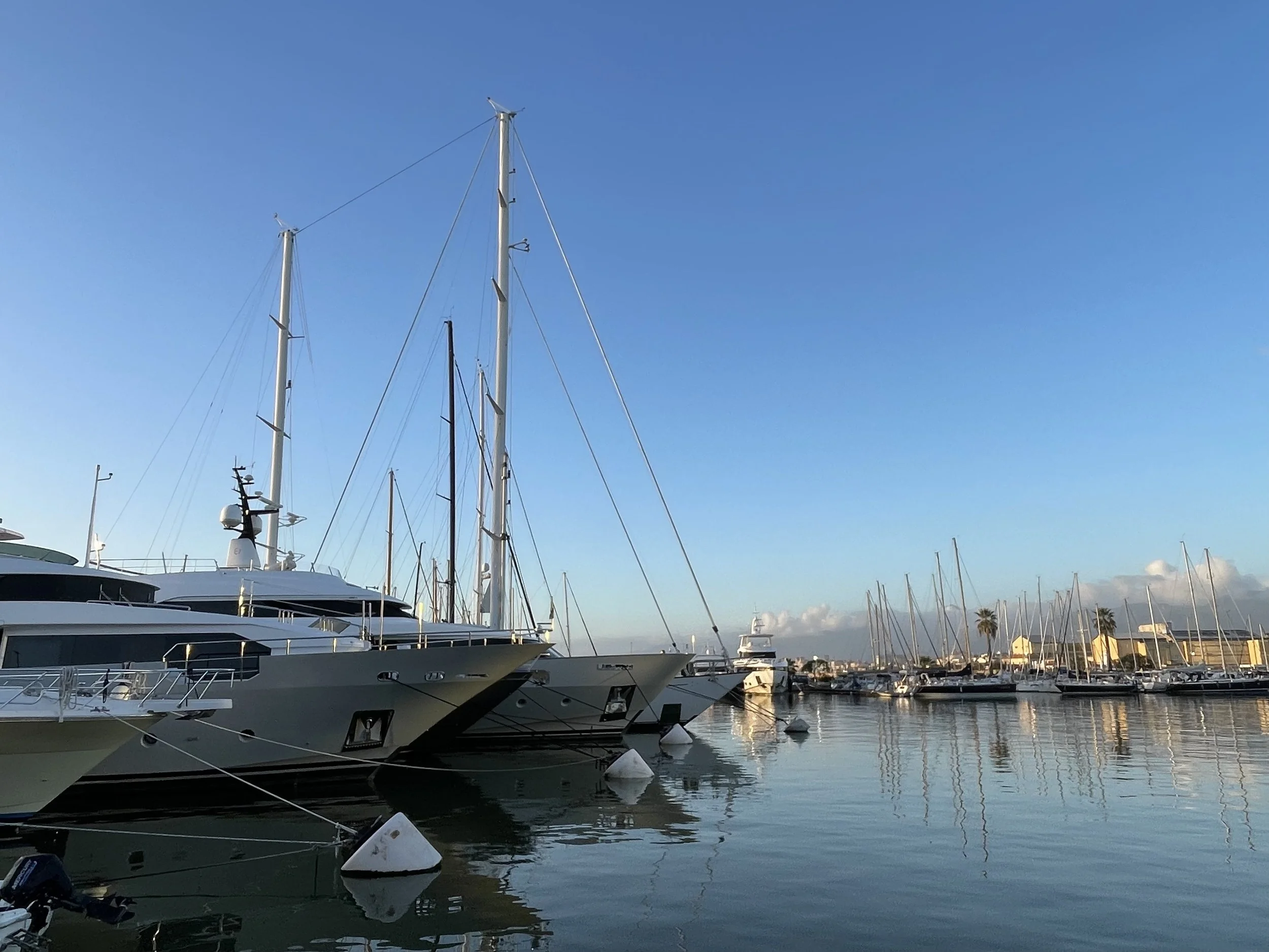 Marina with several yachts and sailboats docked in calm water, clear blue sky, and buildings with palm trees in the background.