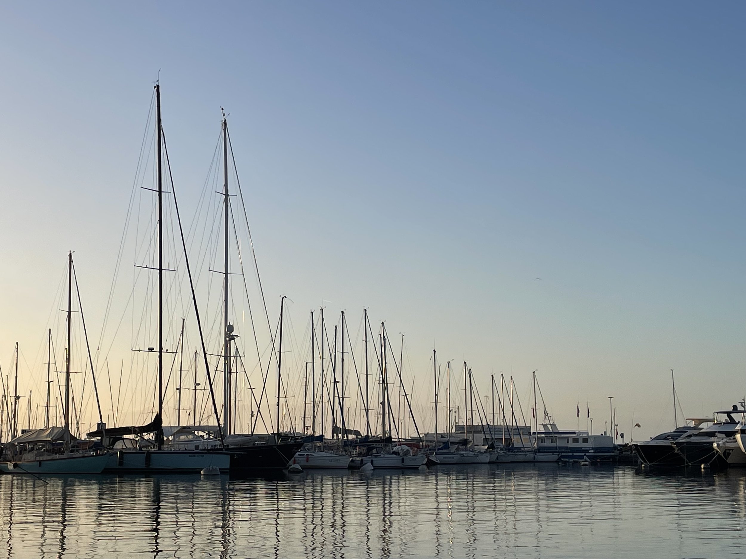 A marina with multiple sailboats and yachts docked, with tall masts and calm water, during sunset or sunrise under a clear sky.