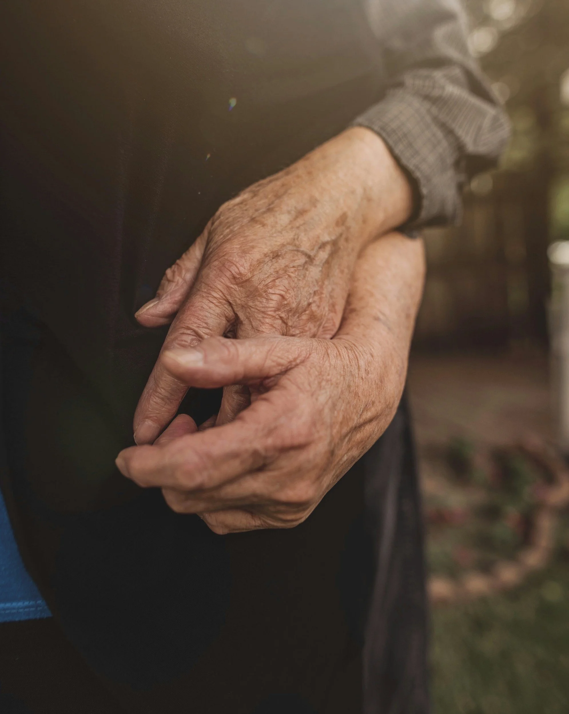 Close-up of an elderly person's hand holding a child's hand outdoors, with blurred background of trees.