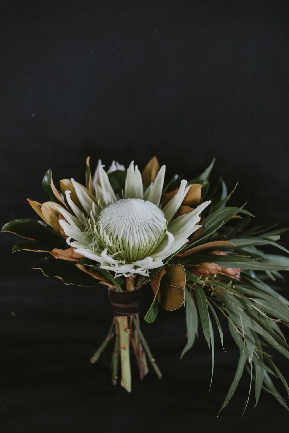 A wedding bouquet of white king protea with grandiflora magnolia and eucalyptus